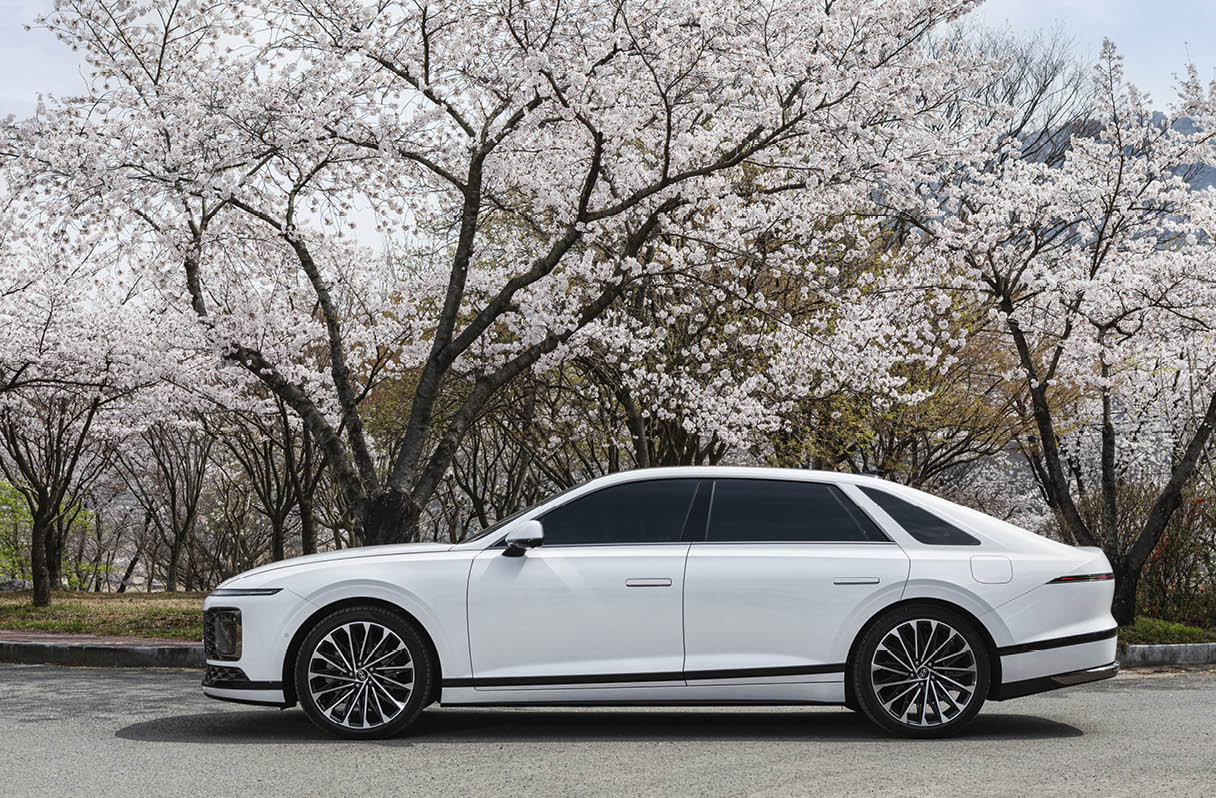 Side view of the 7th generation Grandeur standing behind the cherry blossoms in full bloom