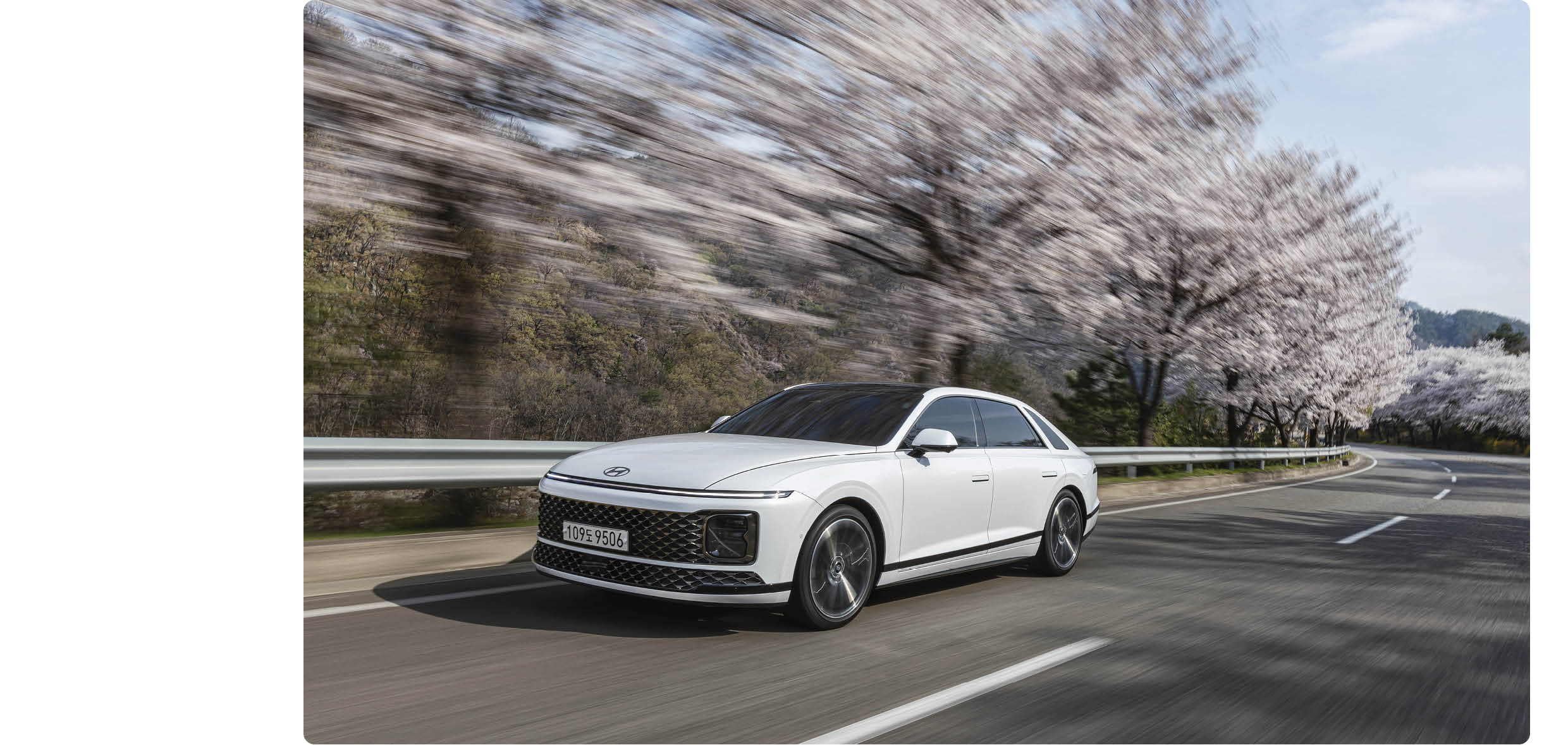 The 7th generation Grandeur running on a road full of cherry blossoms