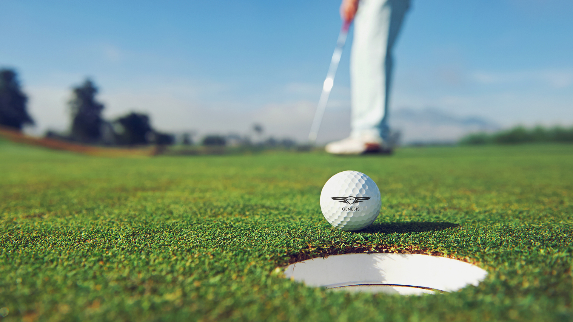 골프 그린 위에서 골프공을 홀컵을 향해 퍼팅하고 있다.