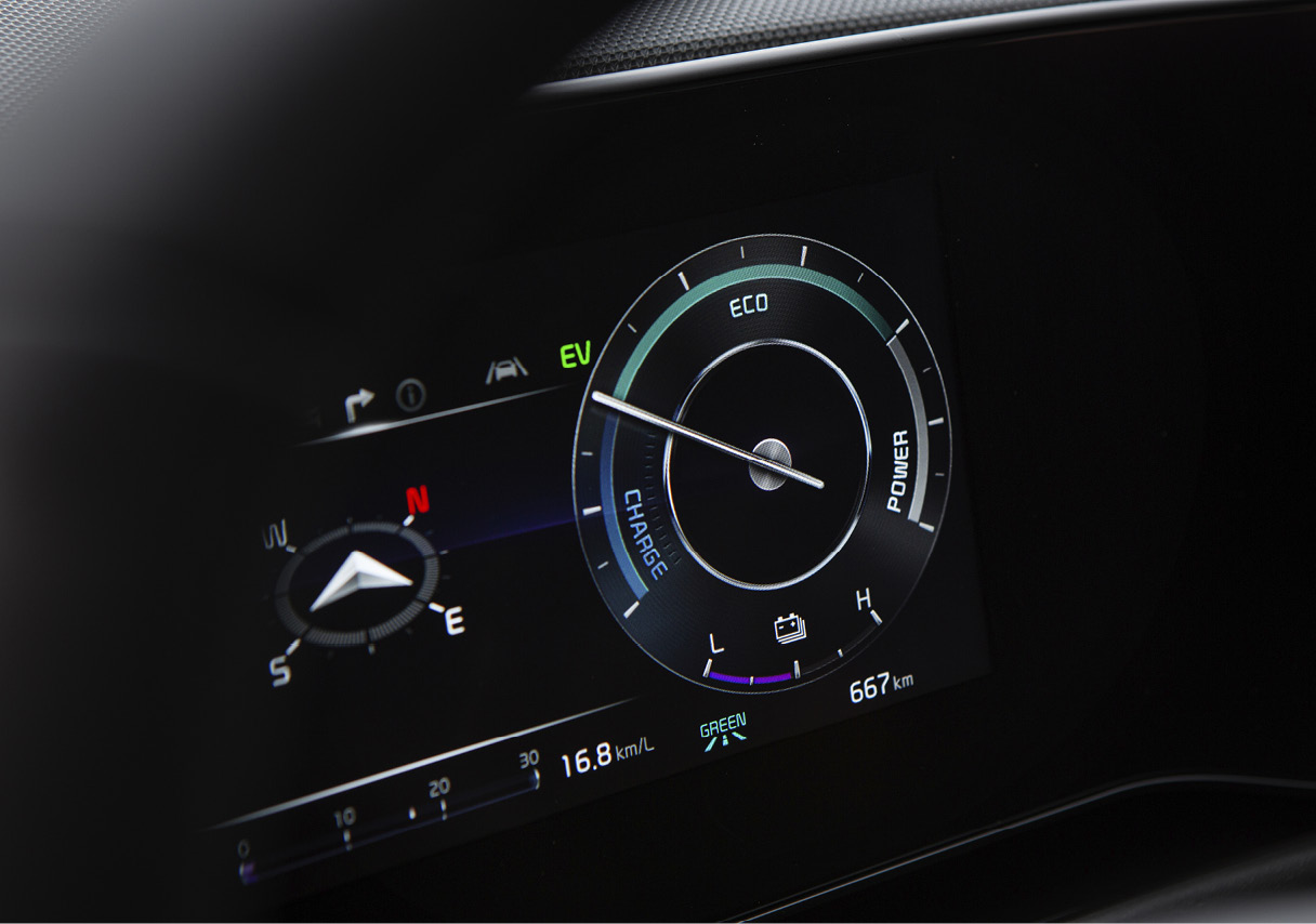 Niro's Cluster