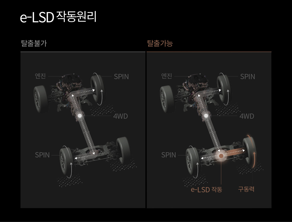 E-LSD의 작동 원리를 설명하는 인포그래픽