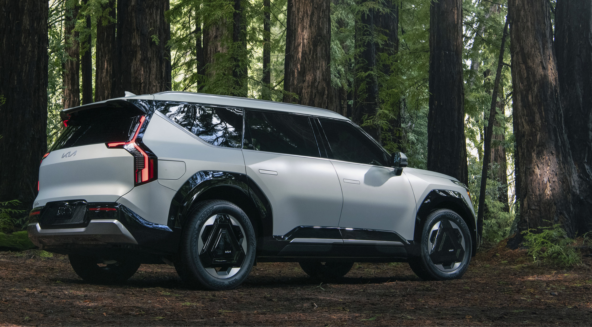 EV9이 숲 속에 서 있다