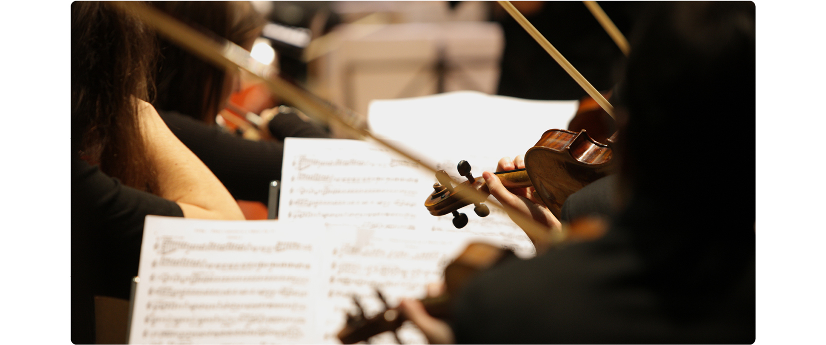 바이올린을 연주하는 오케스트라 단원들의 뒷모습 사진