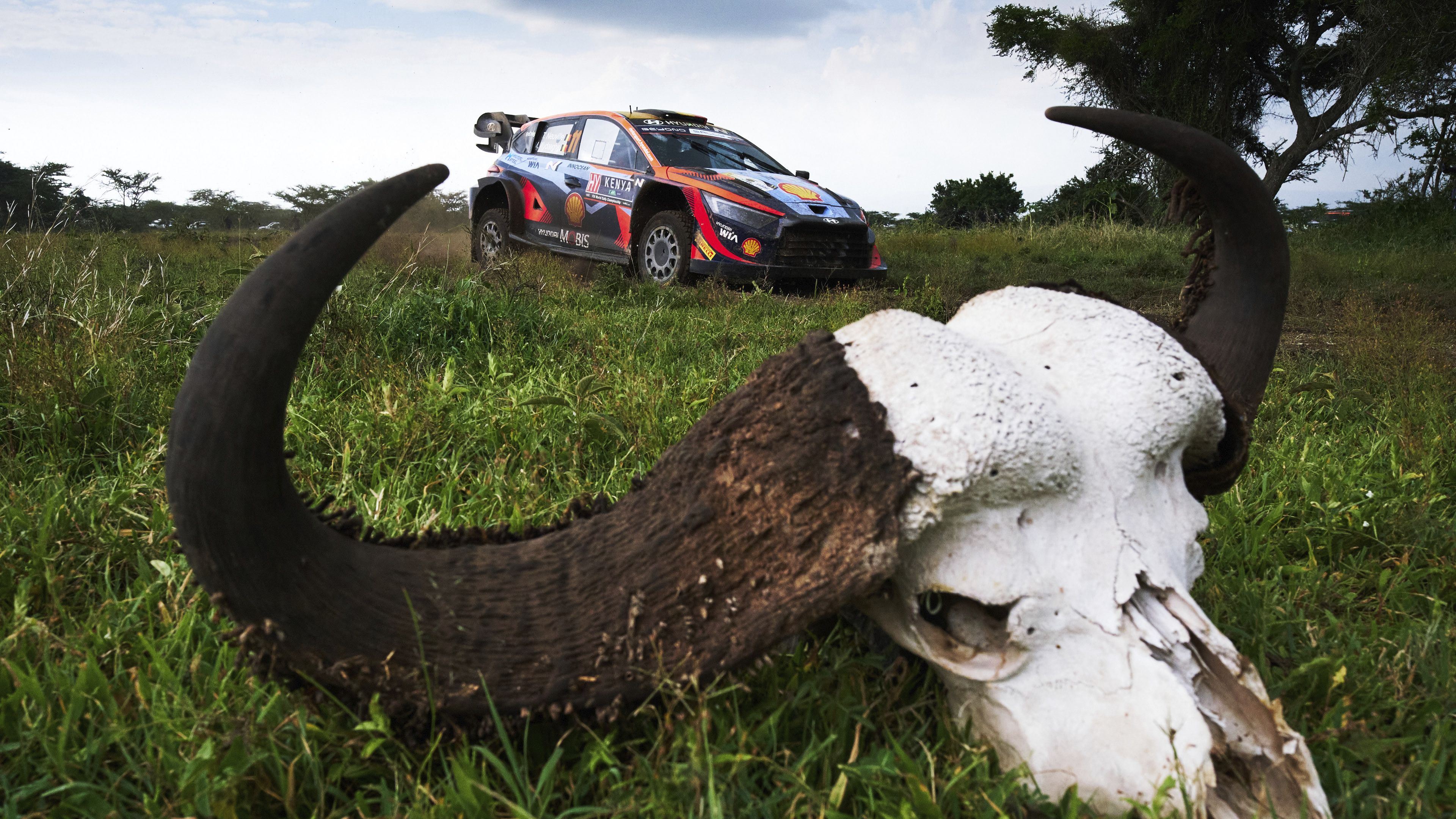 2023 케냐 사파리 랠리에서 질주하고 있는 현대 i20 N 랠리1 하이브리드의 모습