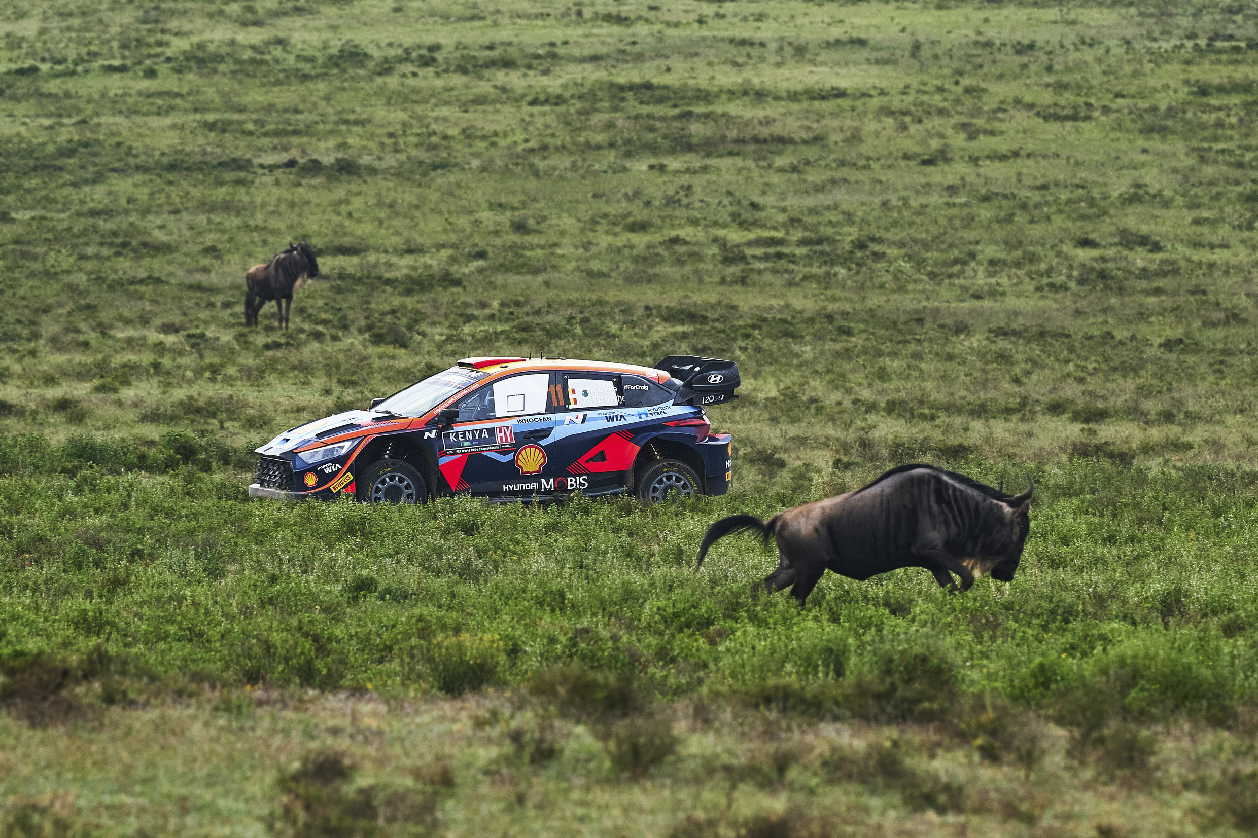 2023 케냐 사파리 랠리에서 질주하고 있는 현대 i20 N 랠리1 하이브리드의 모습