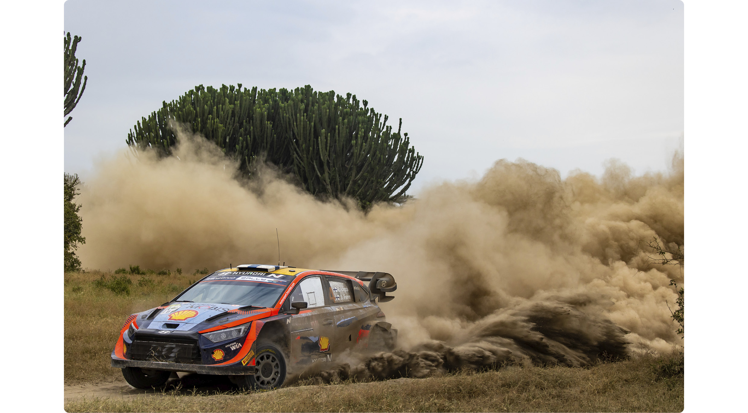 2023 케냐 사파리 랠리에서 질주하고 있는 현대 i20 N 랠리1 하이브리드의 모습