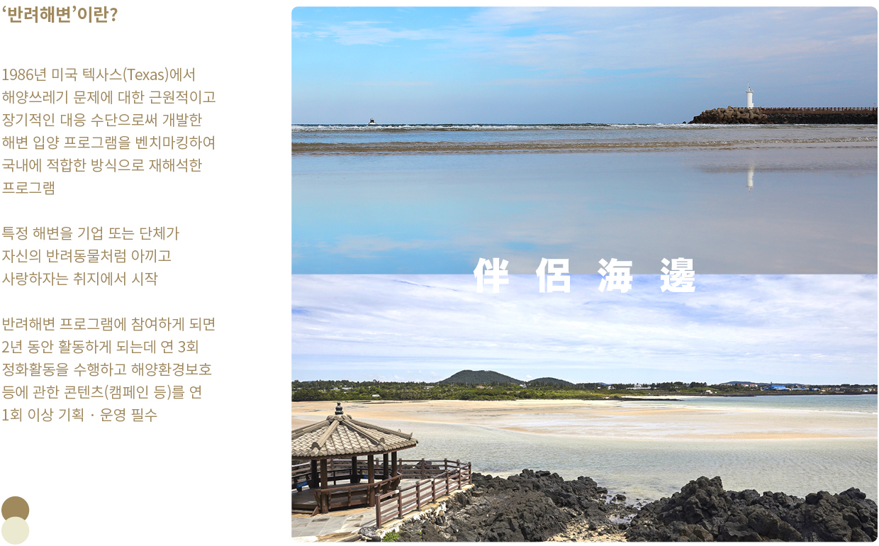 해변을 입양하여 반려동물처럼 가꾸고 돌보는 해변 관리 프로그램 ‘반려해변 제도’ 소개