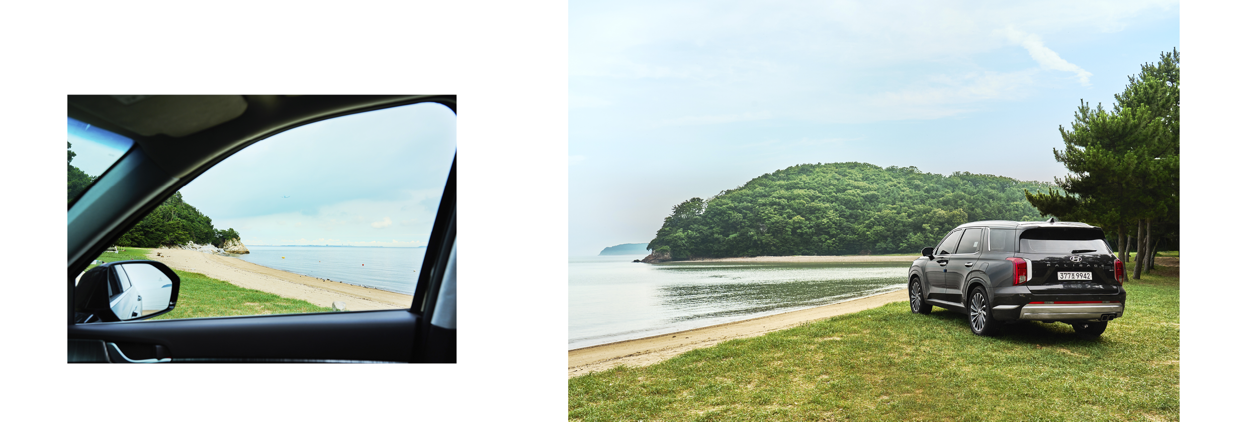 한들해변에 서 있는 팰리세이드의 뒷모습