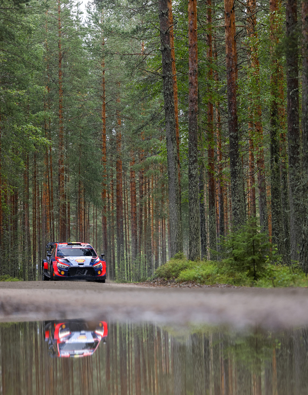 현대 월드랠리팀 i20 N 랠리1 하이브리드의 주행 모습