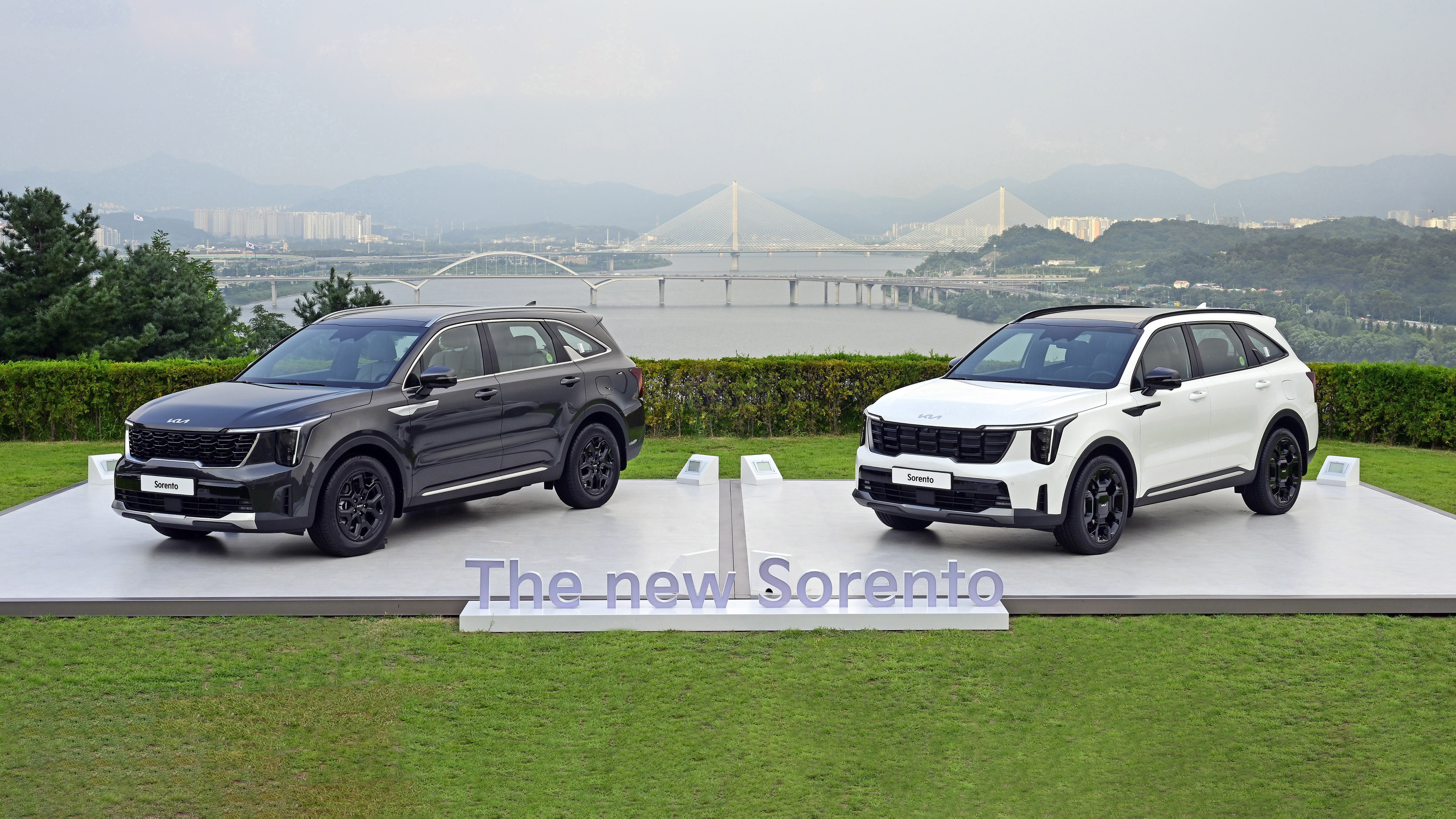 The new Sorentos standing side by side in front of the Han River