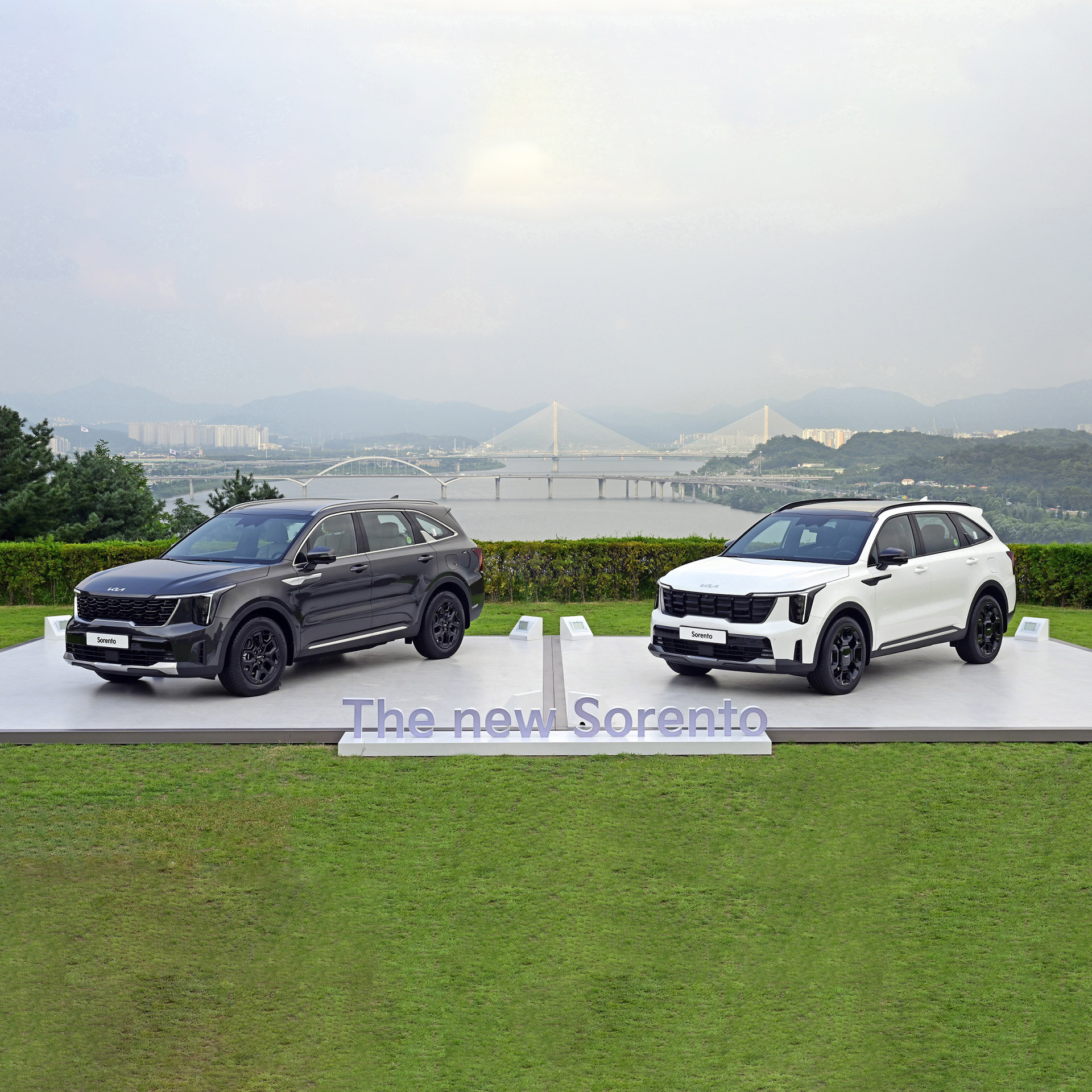 The new Sorentos standing side by side in front of the Han River