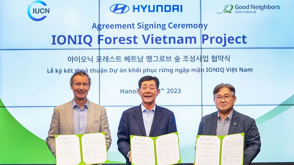 현대자동차, 베트남 맹그로브 숲 복원 나선다-main