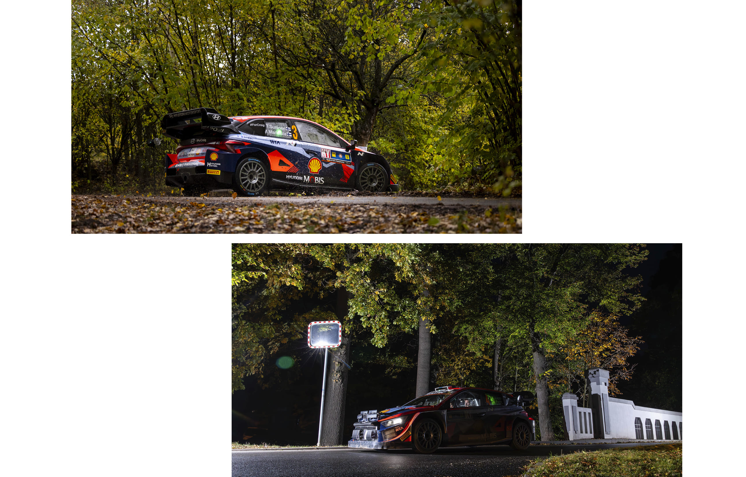 랠리 코스의 모습