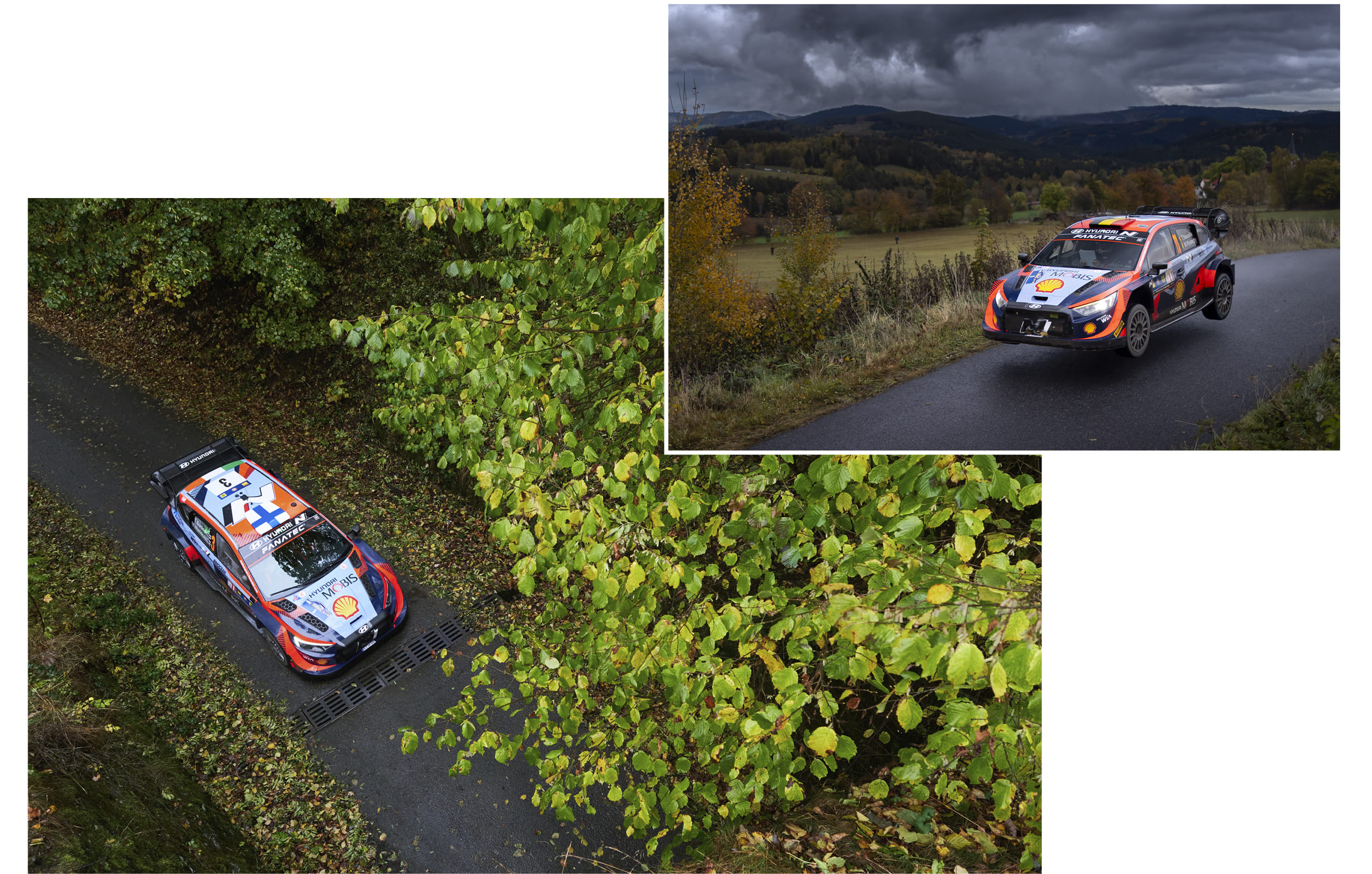 The rally course