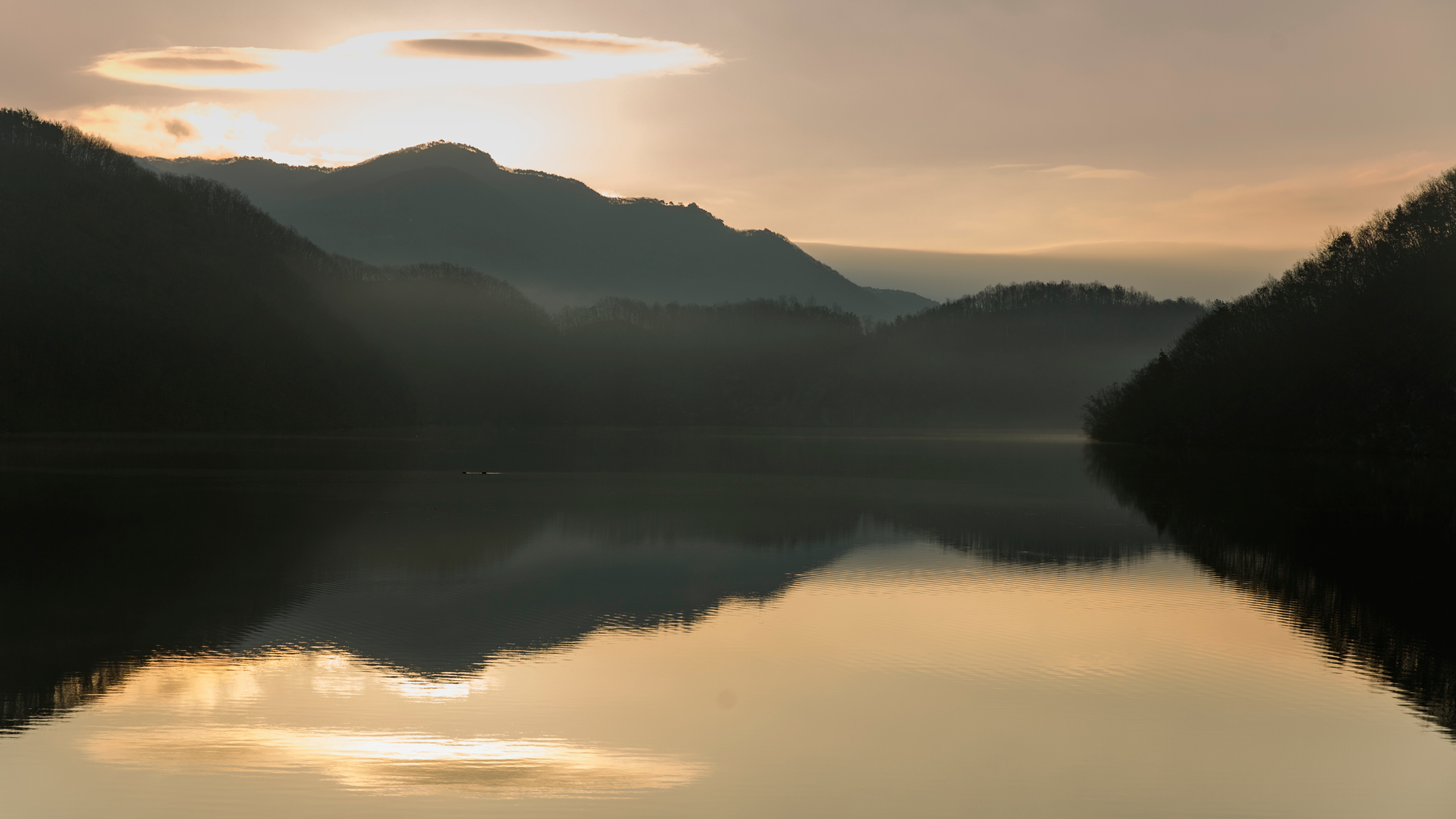 용을 닮은 초평호를 품고 있는 미르숲