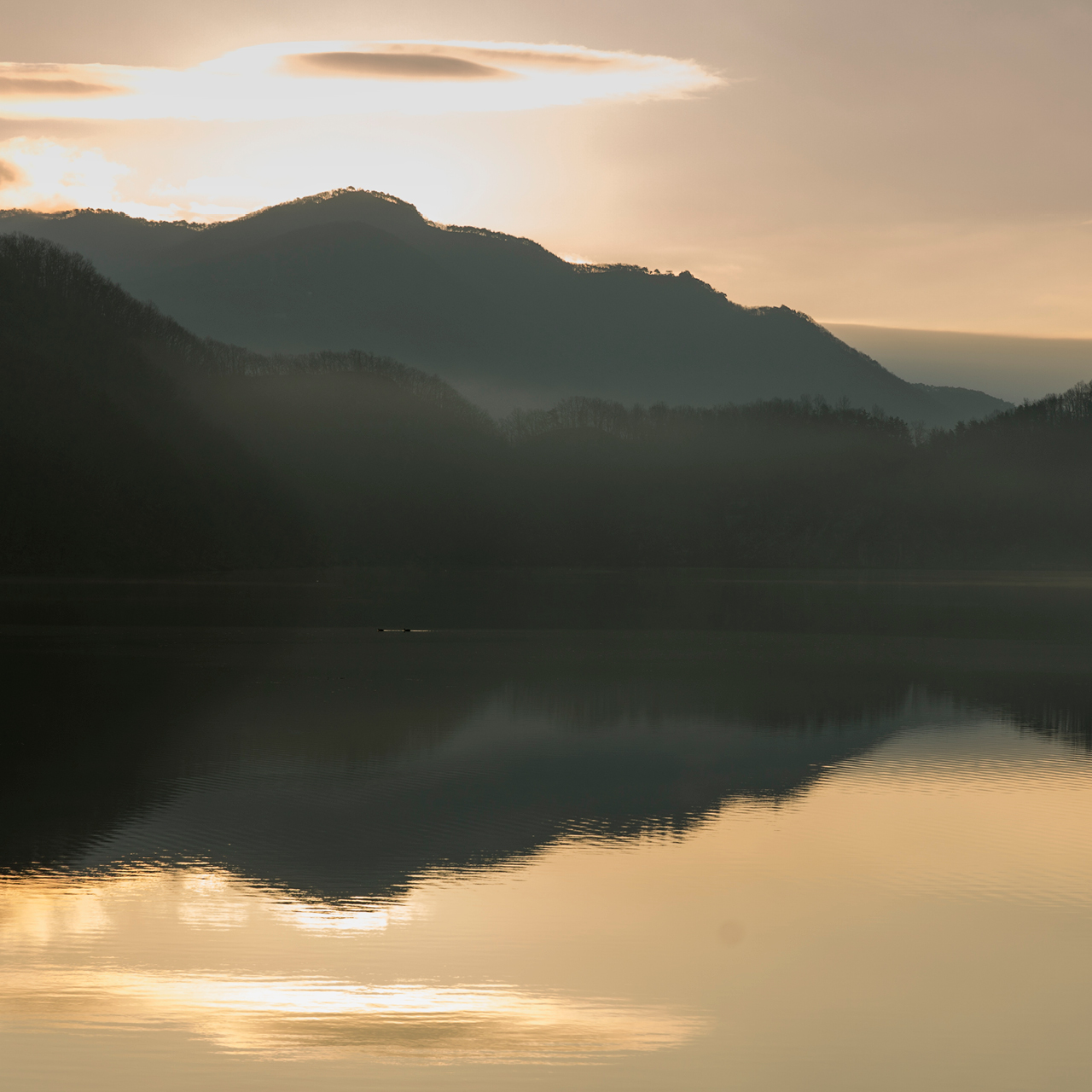 용을 닮은 초평호를 품고 있는 미르숲
