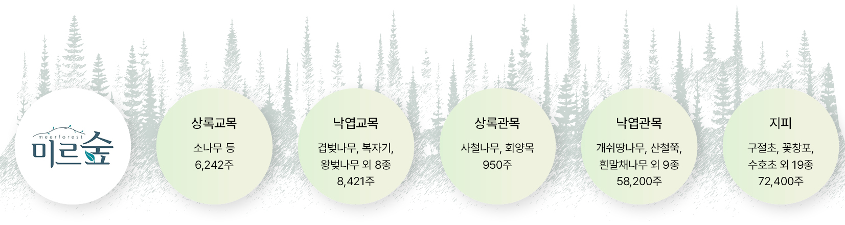 미르숲에는 상록교목부터, 지피까지 다양한 나무와 풀들이 식재되어 있다
