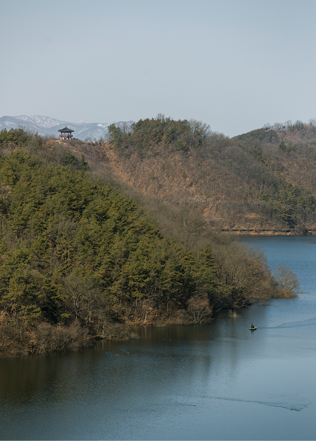 초평호를 품고 있는 미르숲.