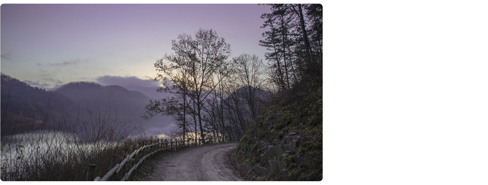 미르숲은 6개의 숲이 있다. 그중 요정의 숲은 야생동물을 만날 수 있다.