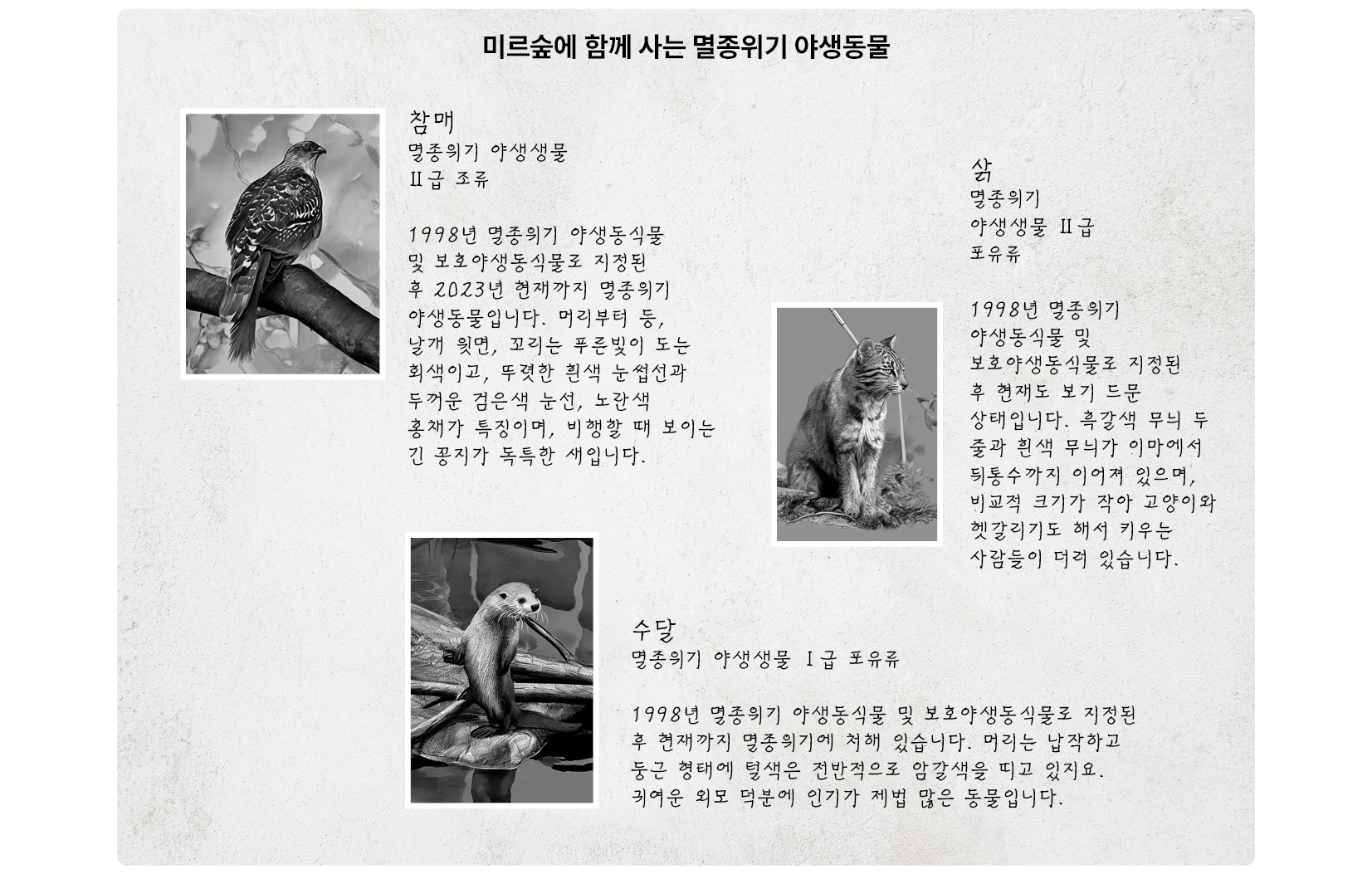 미르숲에 사는 멸종위기 야생동물