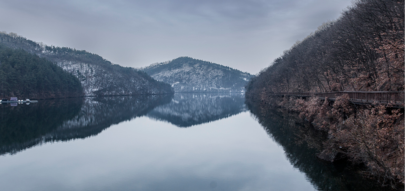 거울의 숲은 물에 비친 숲의 모습을 만나볼 수 있다