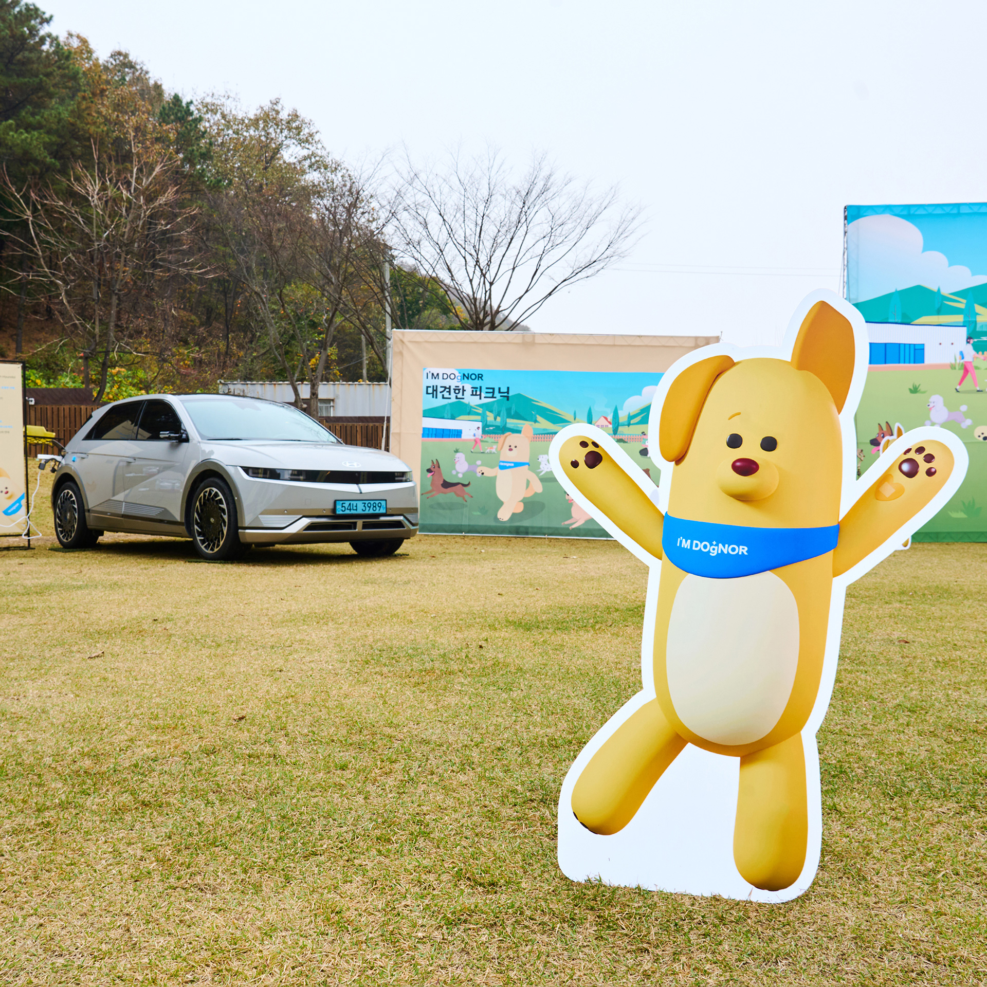 아임도그너 패널이 세워진 잔디 밭