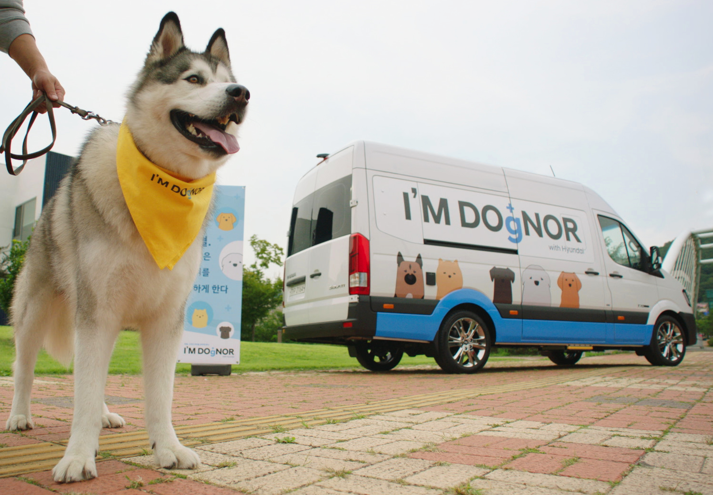 I’M DOgNOR mobile blood donation vehicle and a large dog