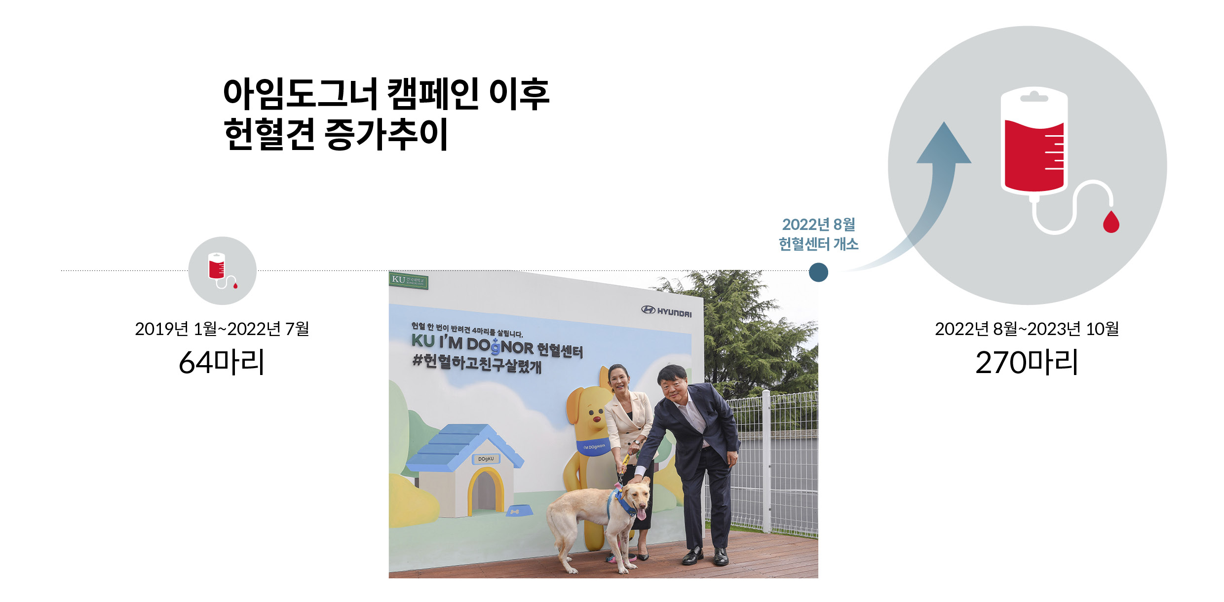 아임도그너 캠페인 이후 헌혈견 증가추이