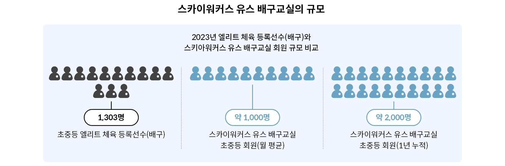 대한체육회에 등록된 초중등 배구 엘리트 체육 등록선수는 현재 1,303명이다. 스카이워커스 유스 배구교실의 연간 누적 회원은 약 2,000명에 달한다.