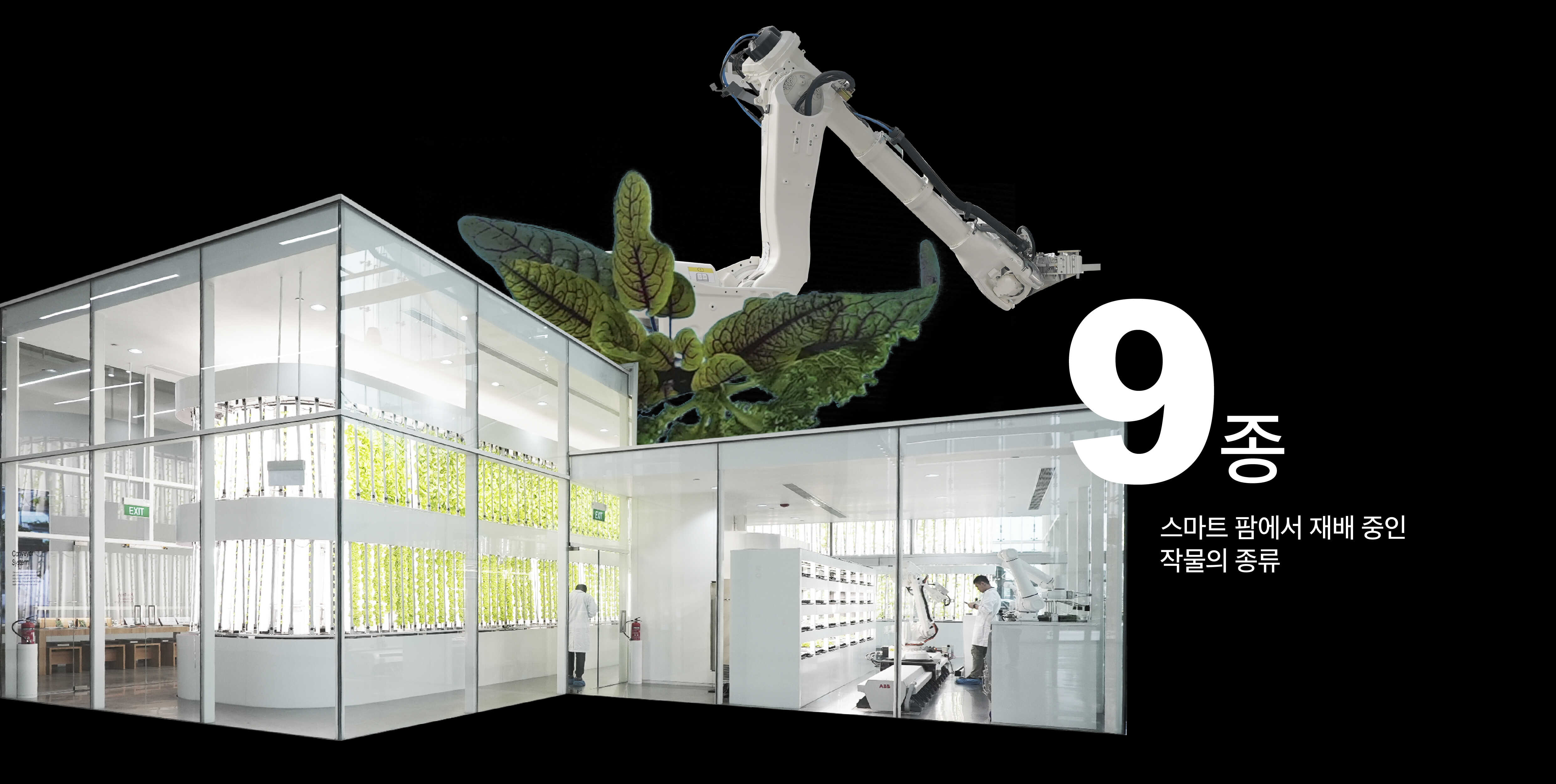 9종, 스마트팜에서 재배하는 작물의 종류를 보여주는 사진