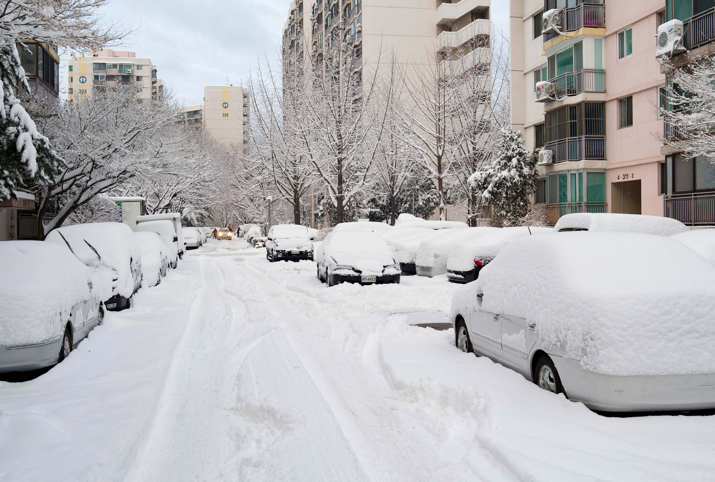 폭설이 내린 거리