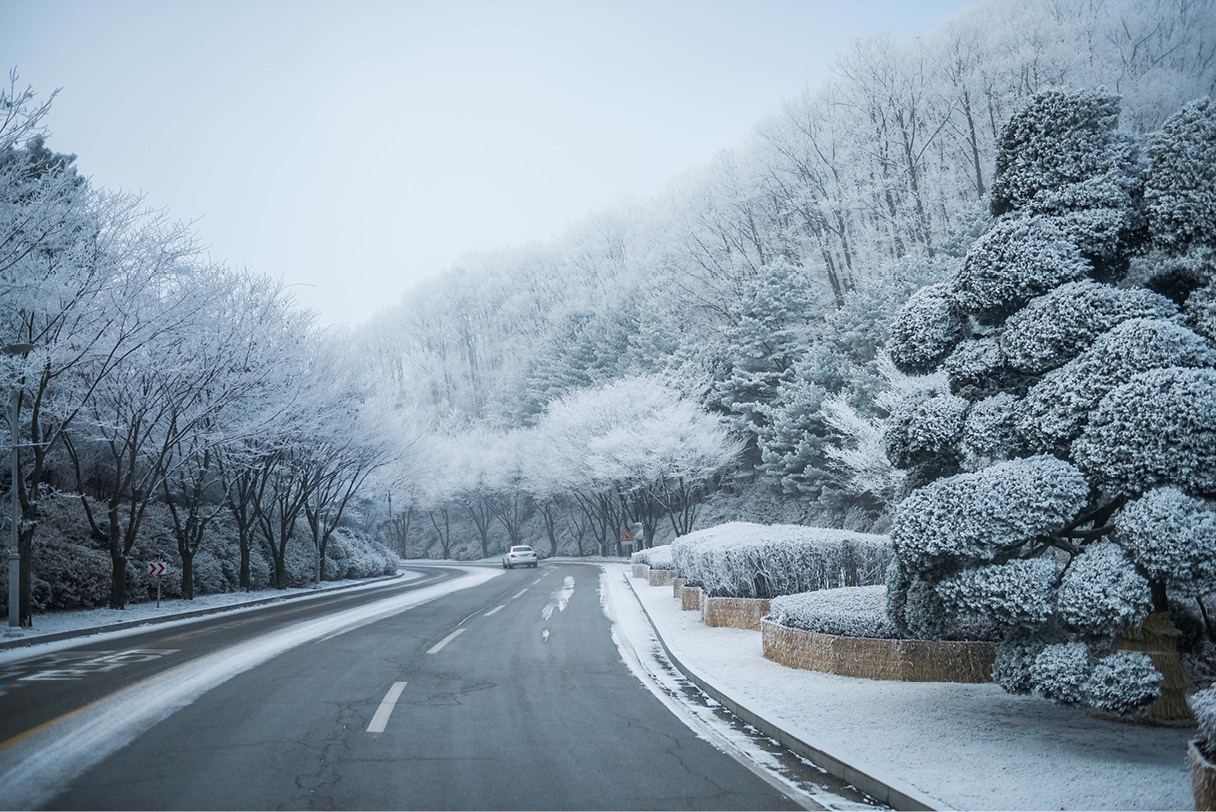 한겨울의 도로