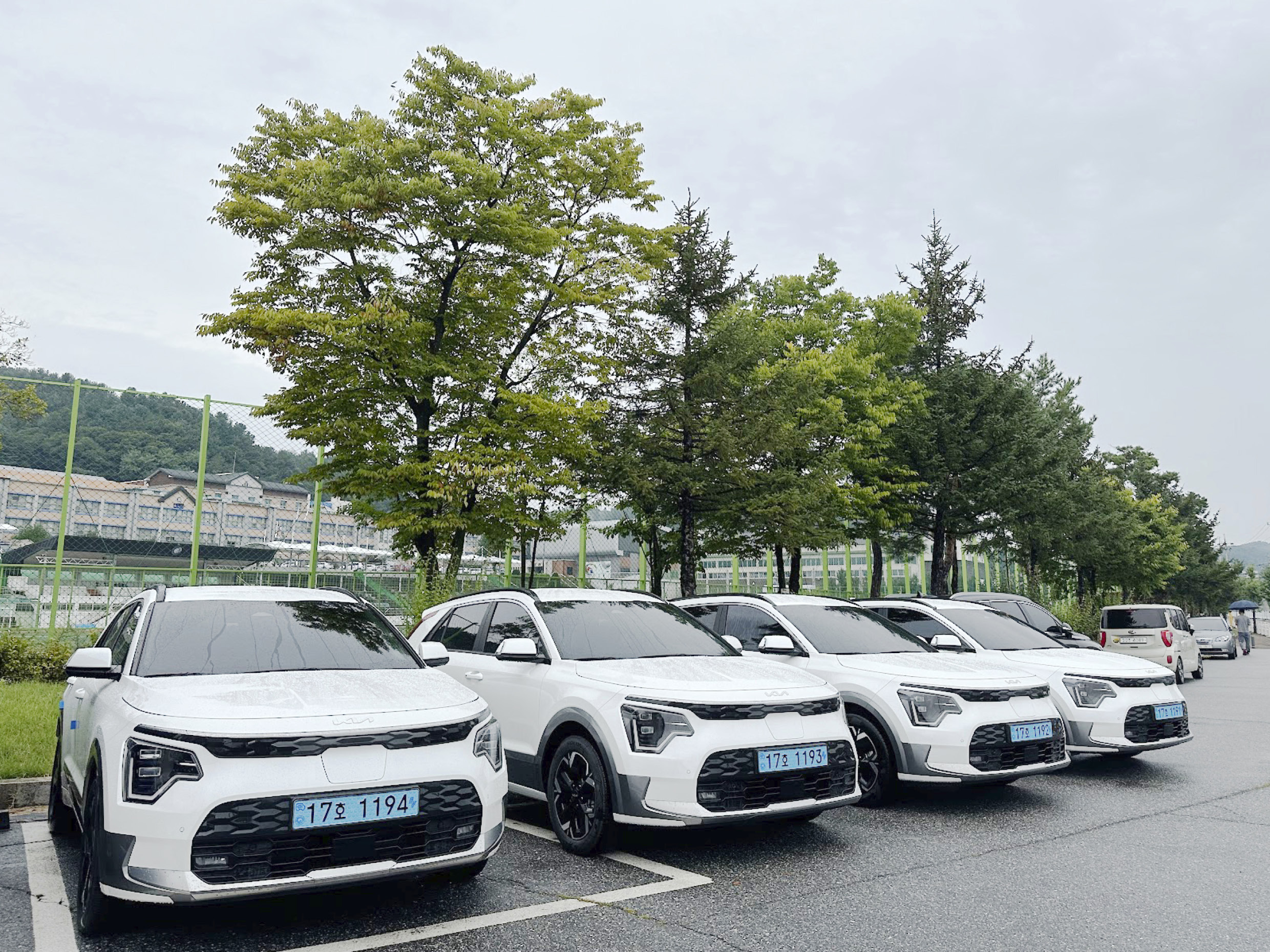 홍천구청의 위블 비즈 차량들