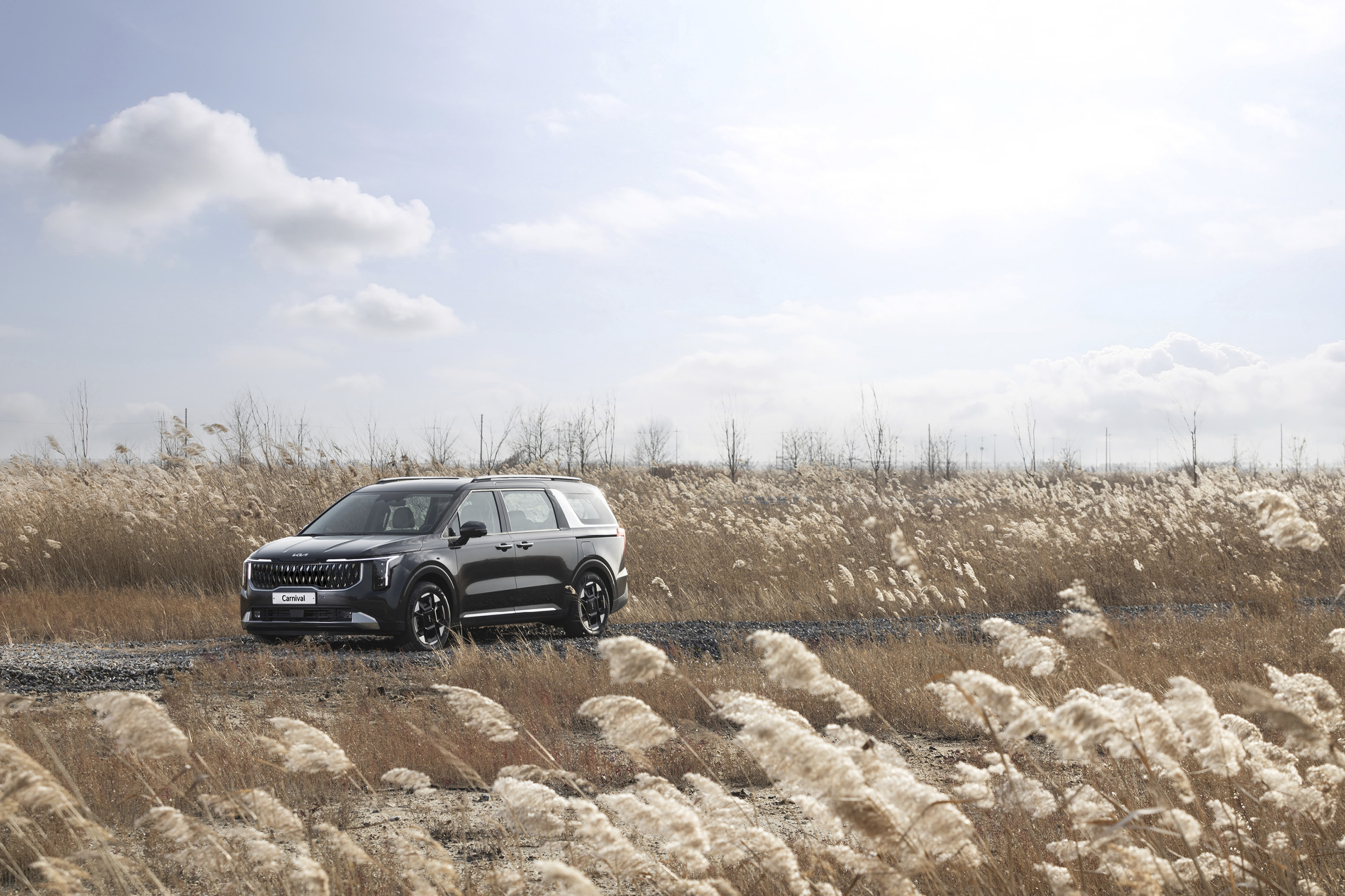 기아 더 뉴 카니발 하이브리드의 모습