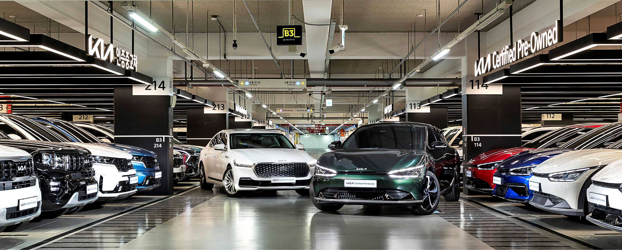 기아 인증중고차 사업을 상징하는 기아 중고차들의 모습