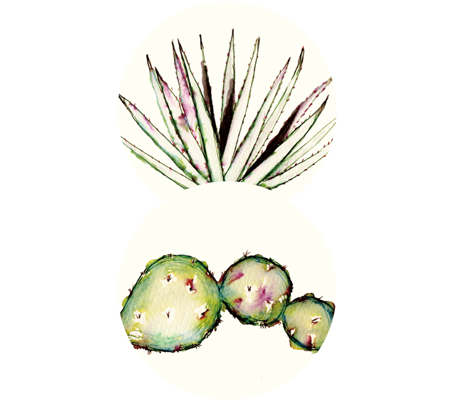 작품 이야기의 시작인 백년초 그림