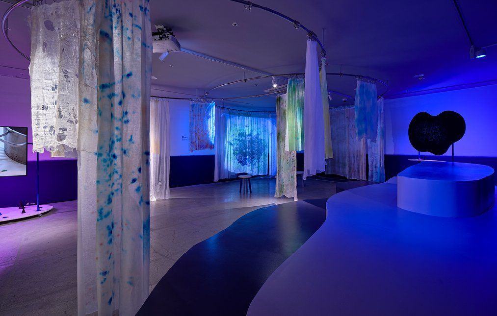 <프로젝트 해시태그 2023>의 라이스 브루링 시스터즈 <공생체은하수> 전시 전경