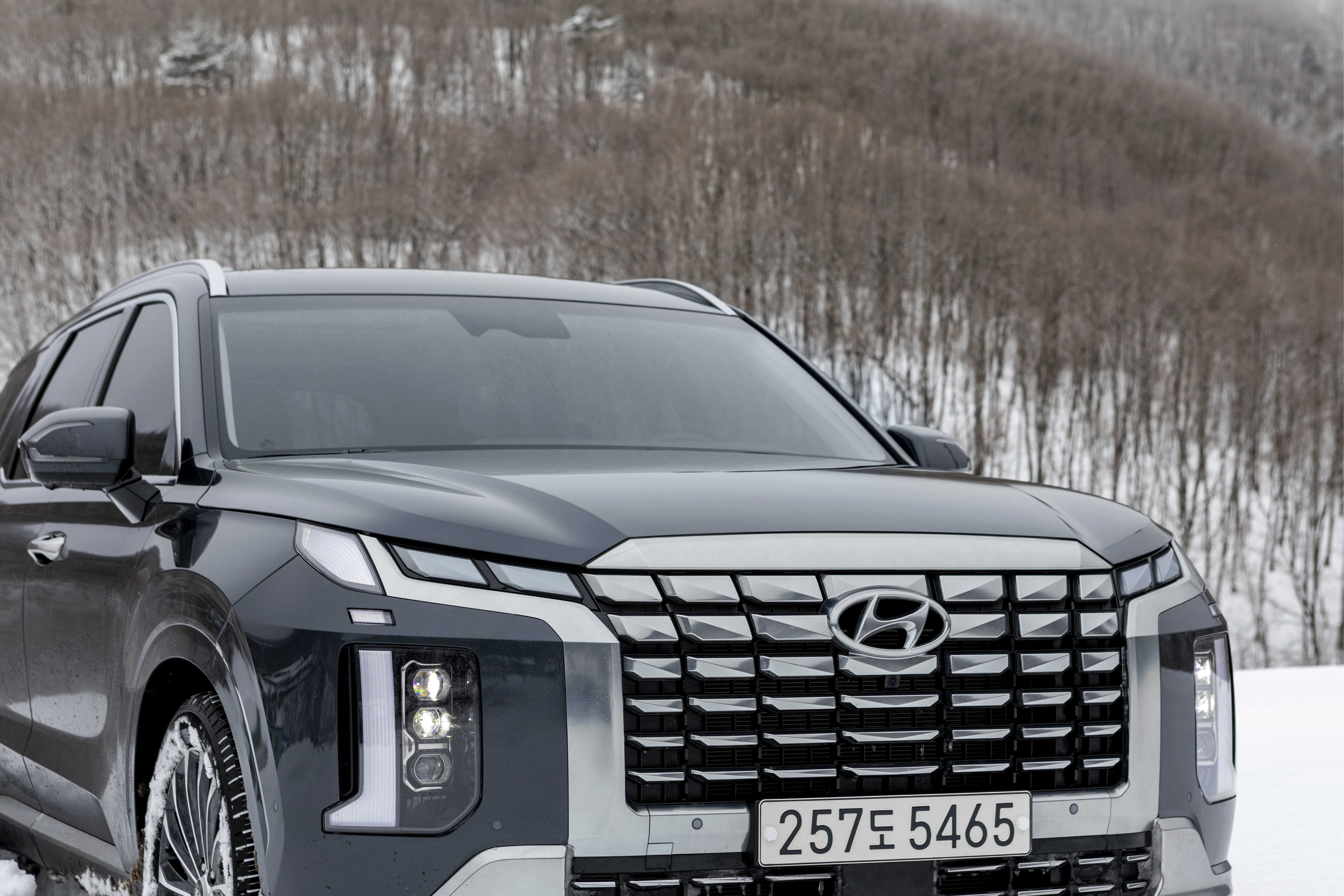 설산을 배경으로 서 있는 팰리세이드의 전면