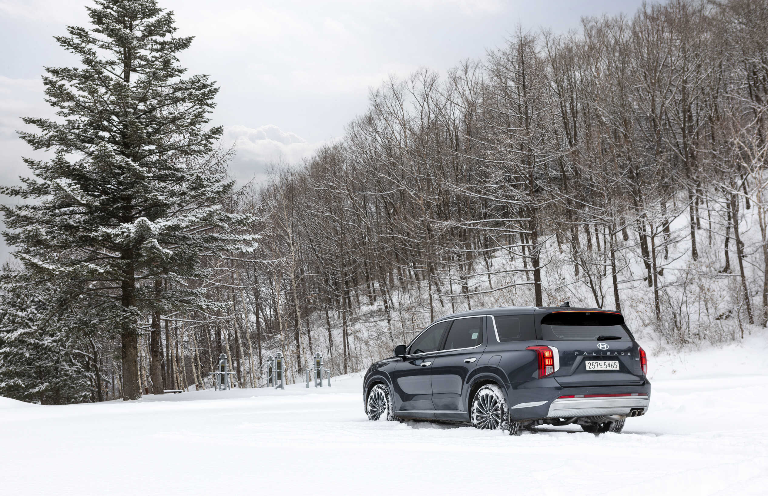 눈이 내려앉은 나무와 함께 서 있는 팰리세이드