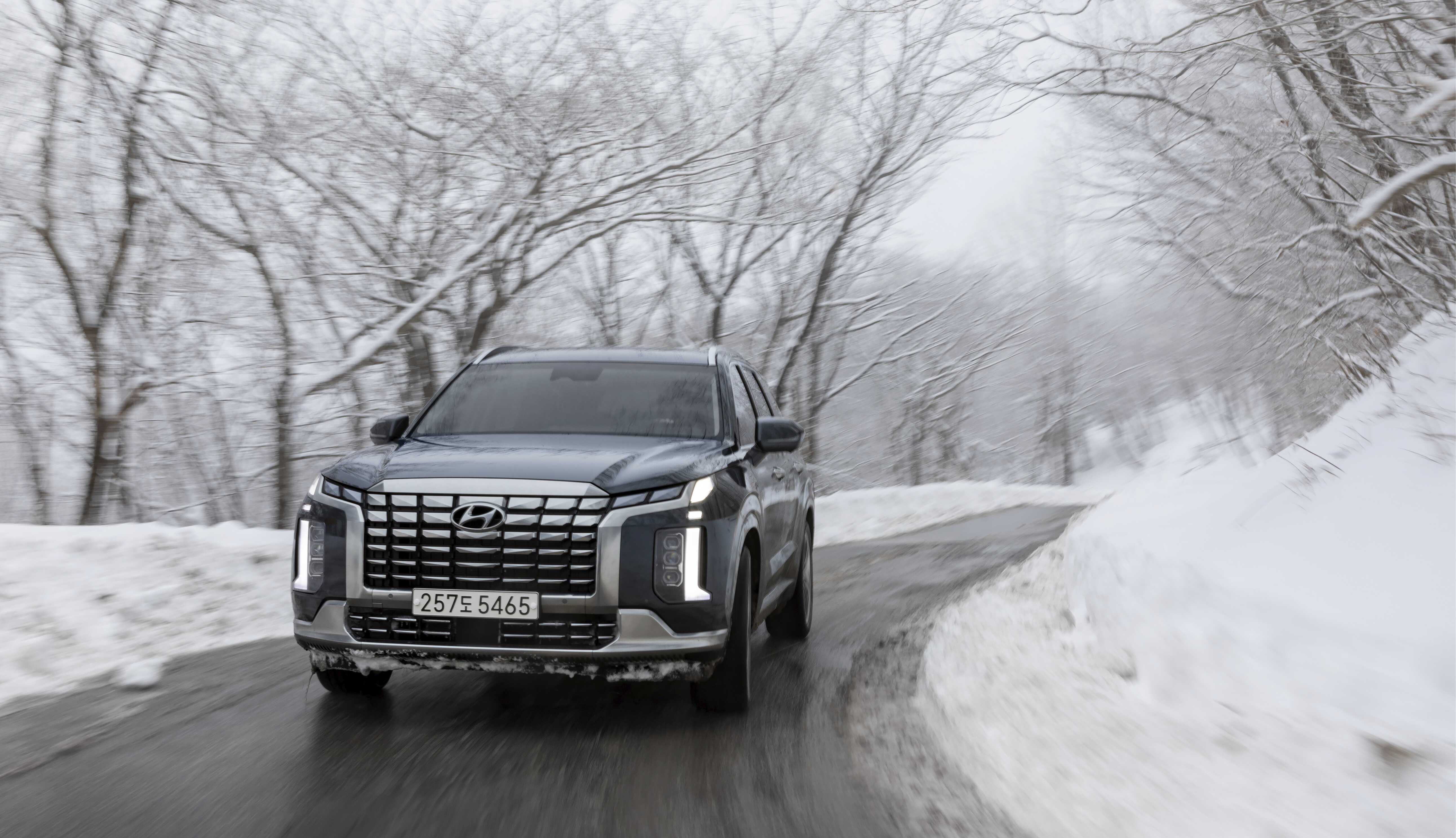 Palisade driving on a road filled with snowflakes