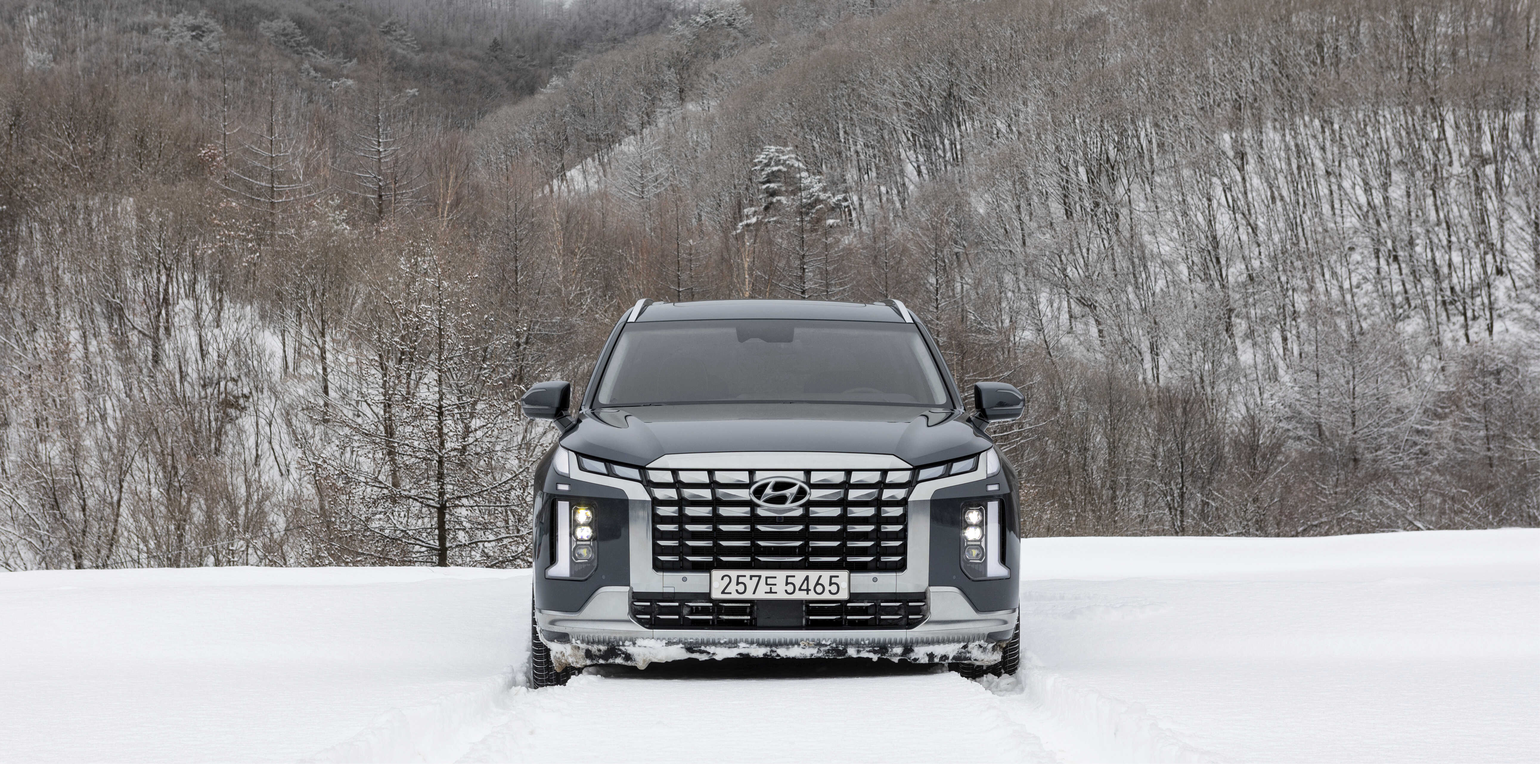 설산을 배경으로 서 있는 팰리세이드