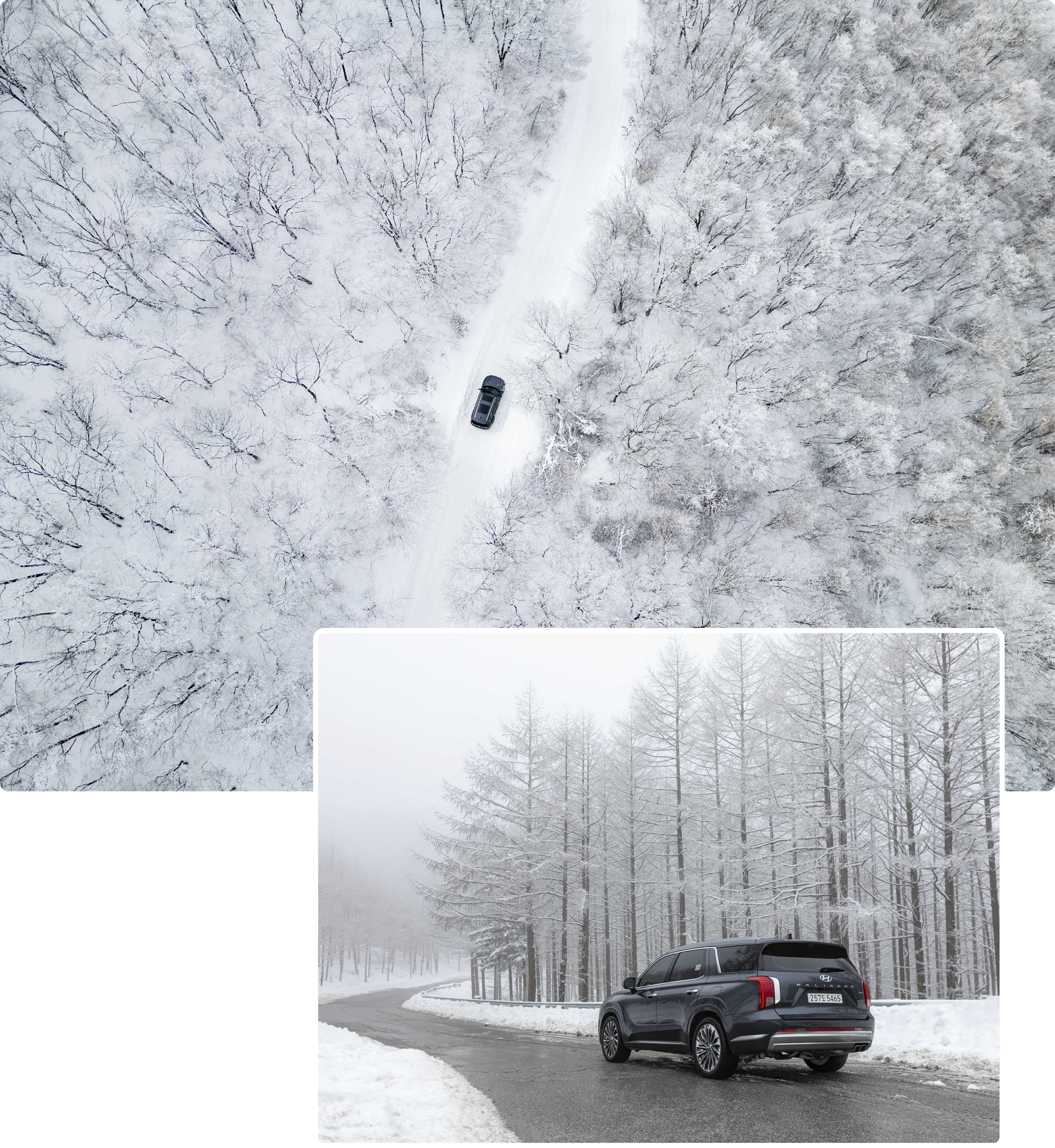 설산 속 팰리세이드를 하늘에서 바라본 모습과 눈이 가득한 나무 아래 서 있는 팰리세이드