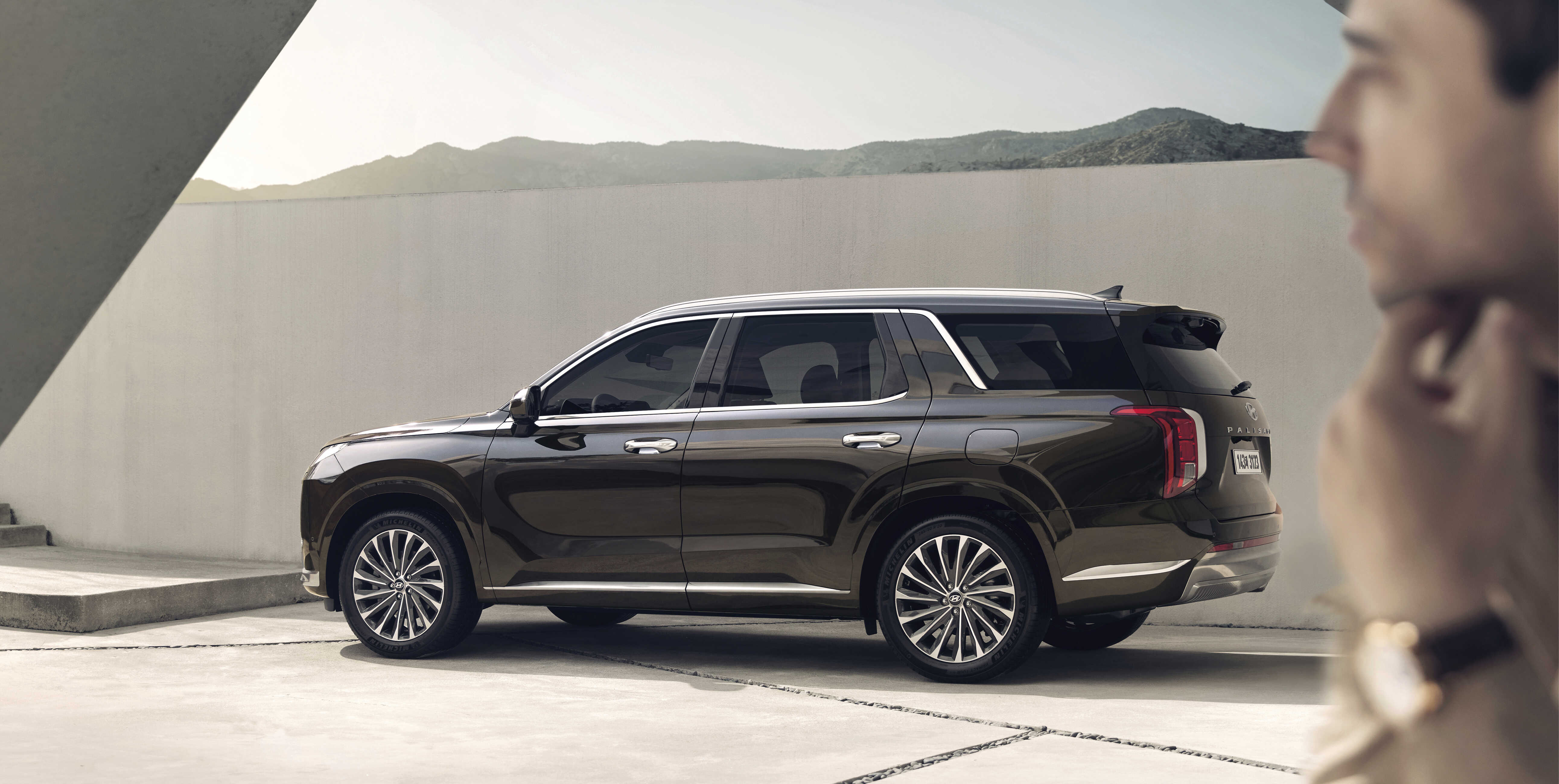 오른쪽 남성이 밤색 팰리세이드 후측면을 바라보는 모습