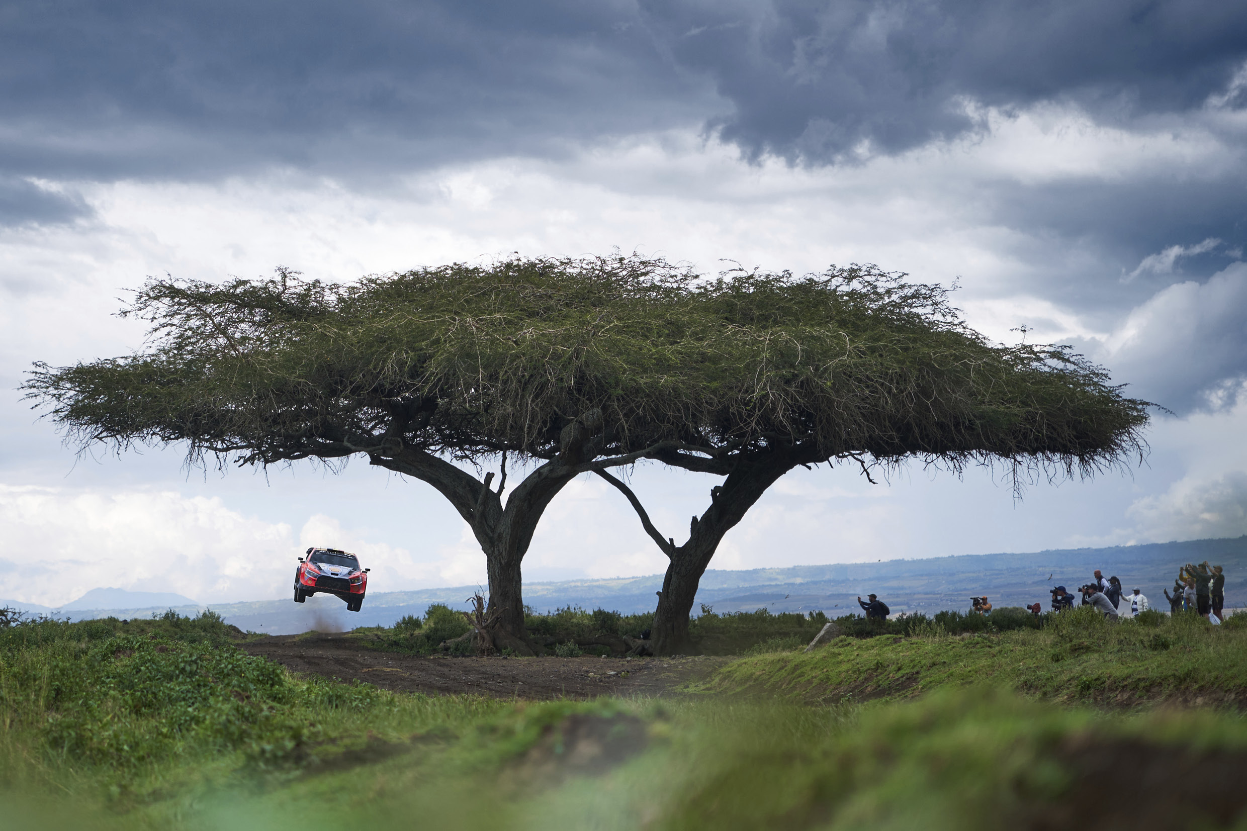 랠리 경기가 치러지고 있는 사파리의 모습