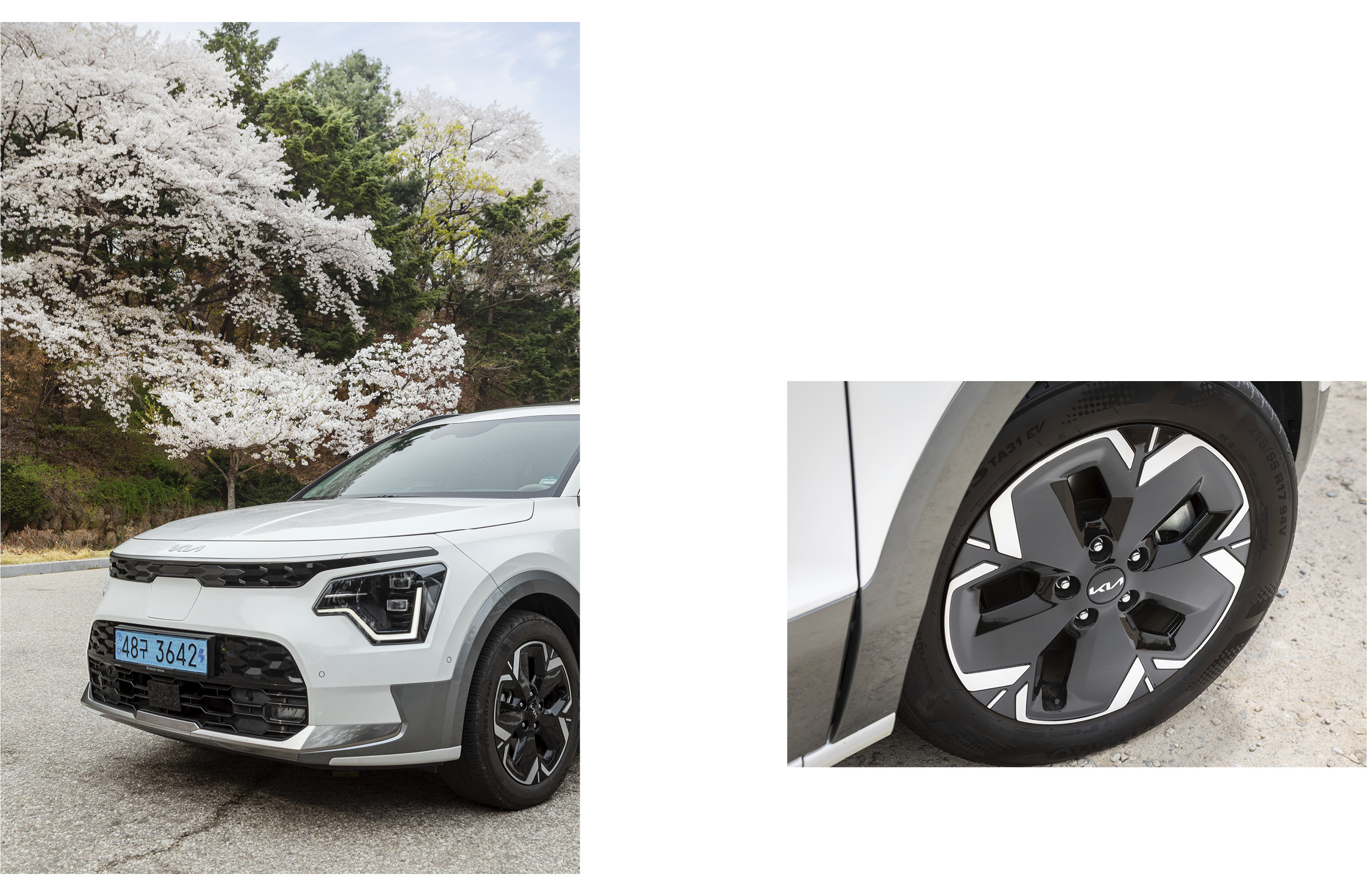 벚꽃을 배경으로 서 있는 니로 EV의 휠과 전면