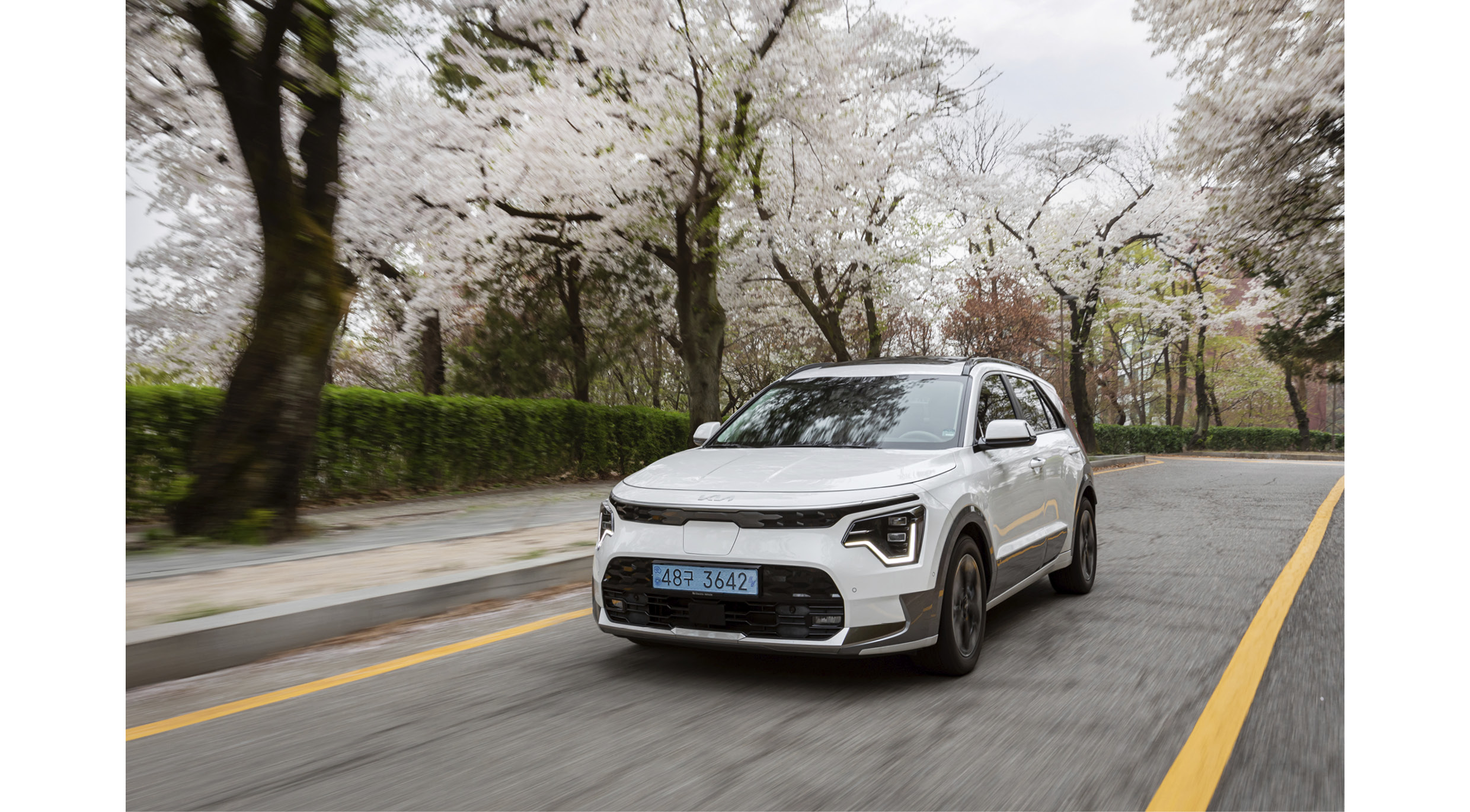 벚꽃이 만개한 가을단풍길을 달리는 니로 EV의 전측면