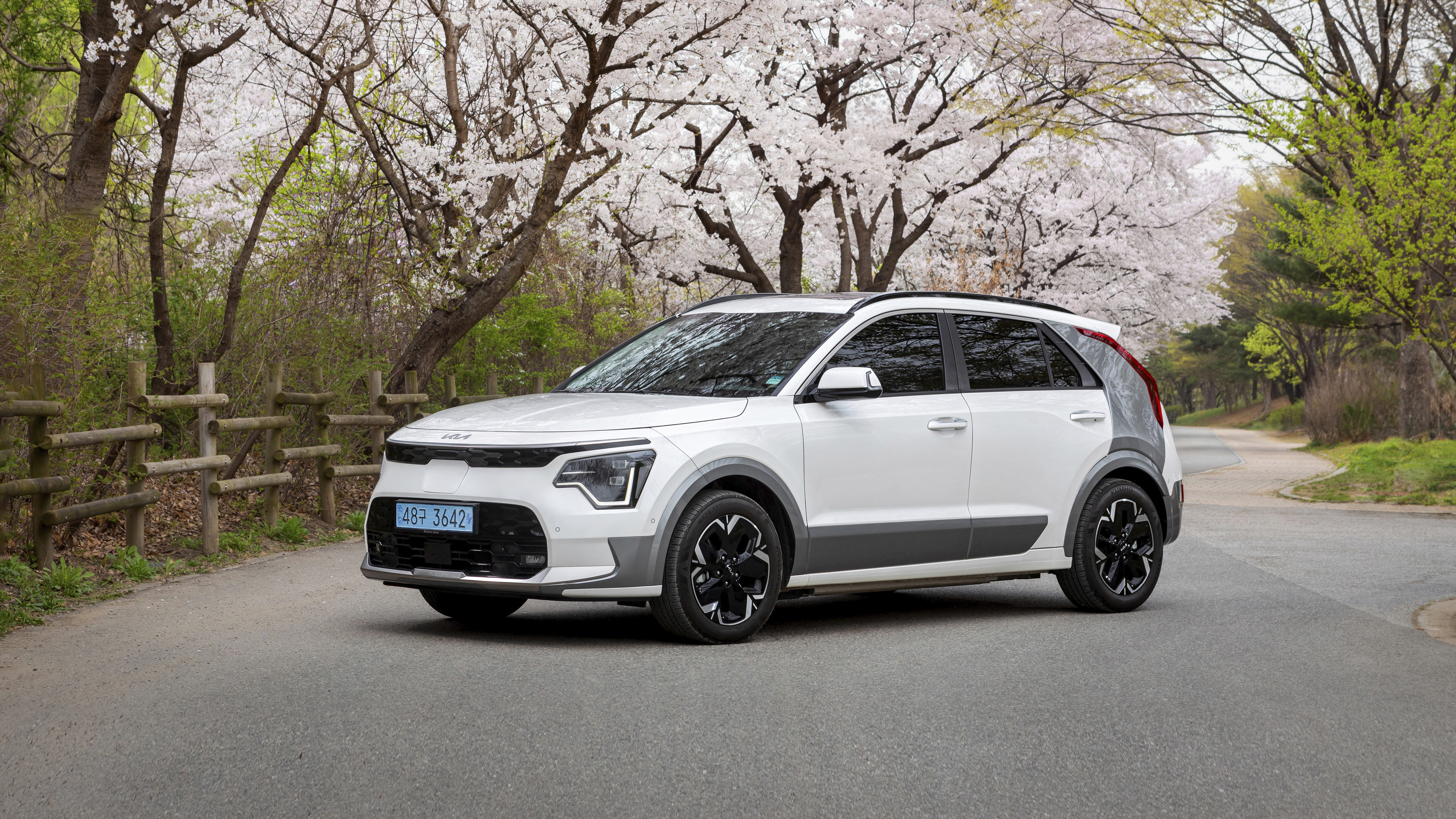 Niro EV standing under the cherry blossoms in full bloom