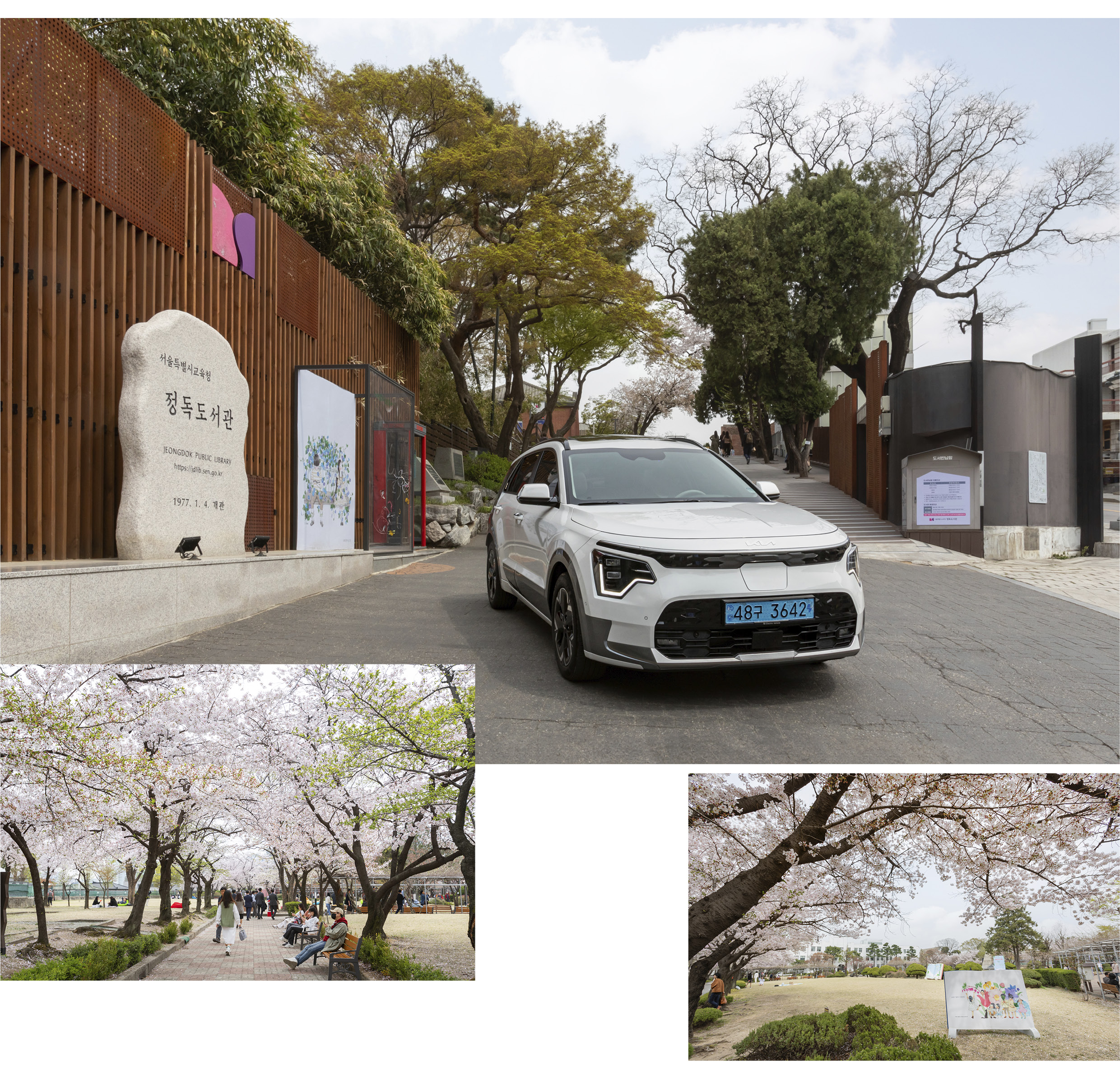 Niro EV standing in front of the Jeongdok Library and the scenery of the Jeongdok Library in full bloom with cherry blossoms
