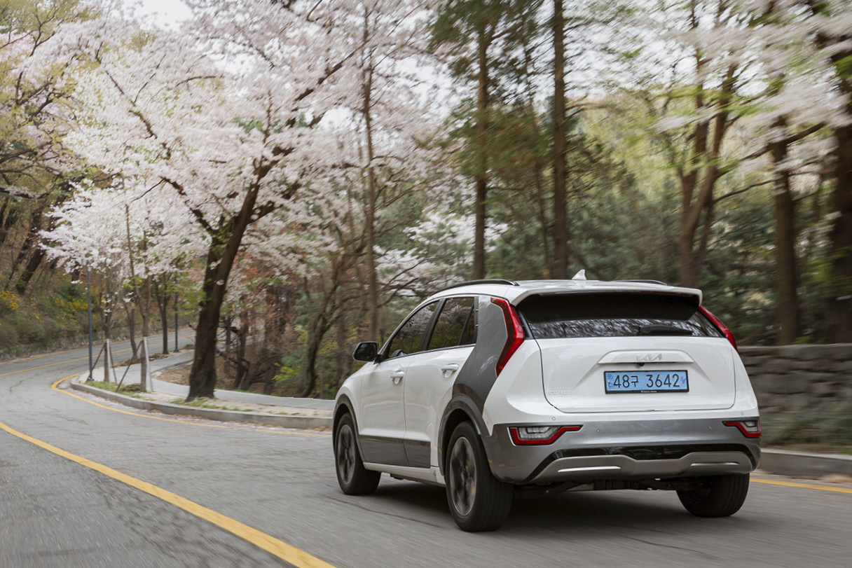 The side and rear of Niro EV, which runs on autumn leaves in full bloom with cherry blossoms