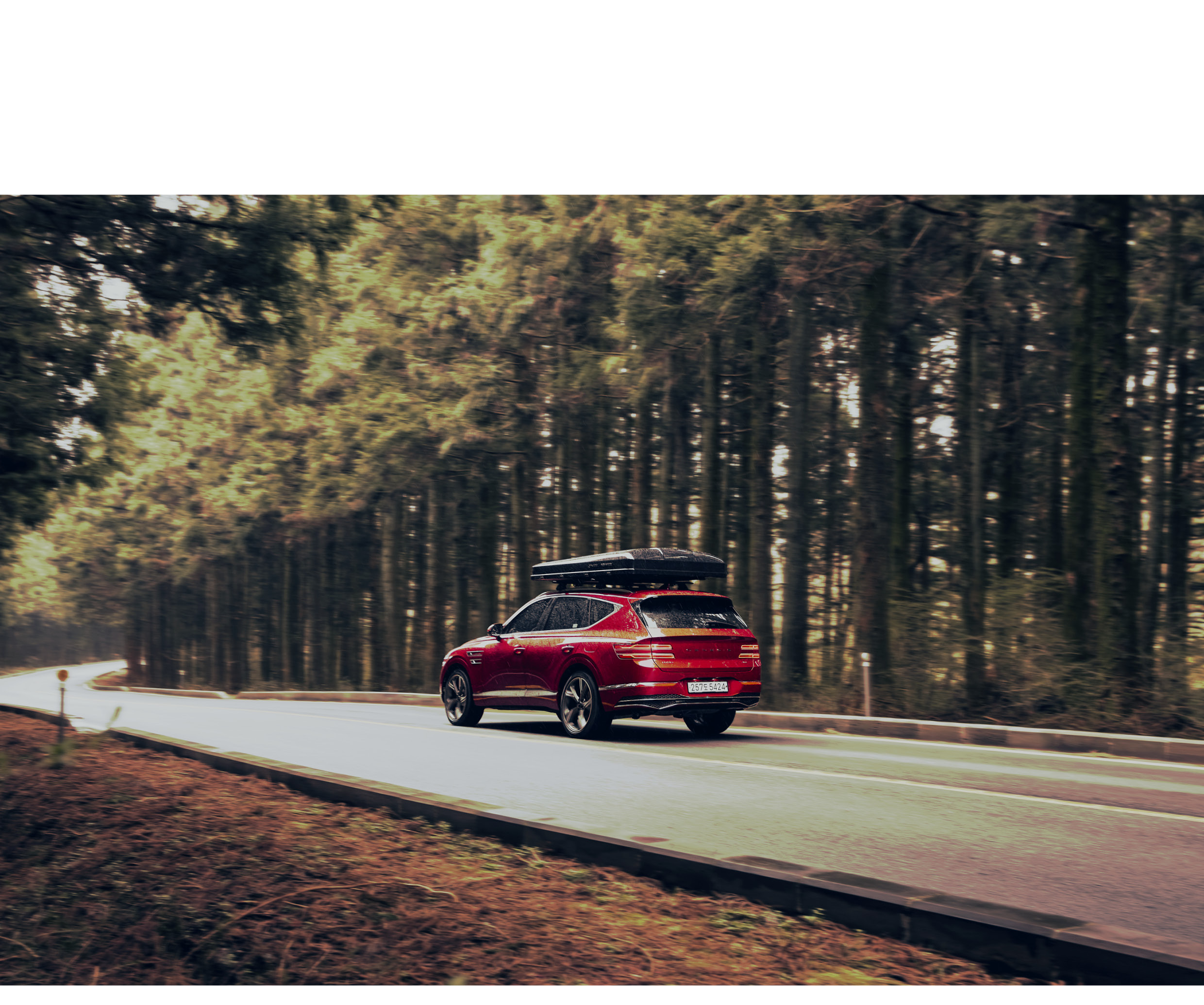 a car running on a wooded road